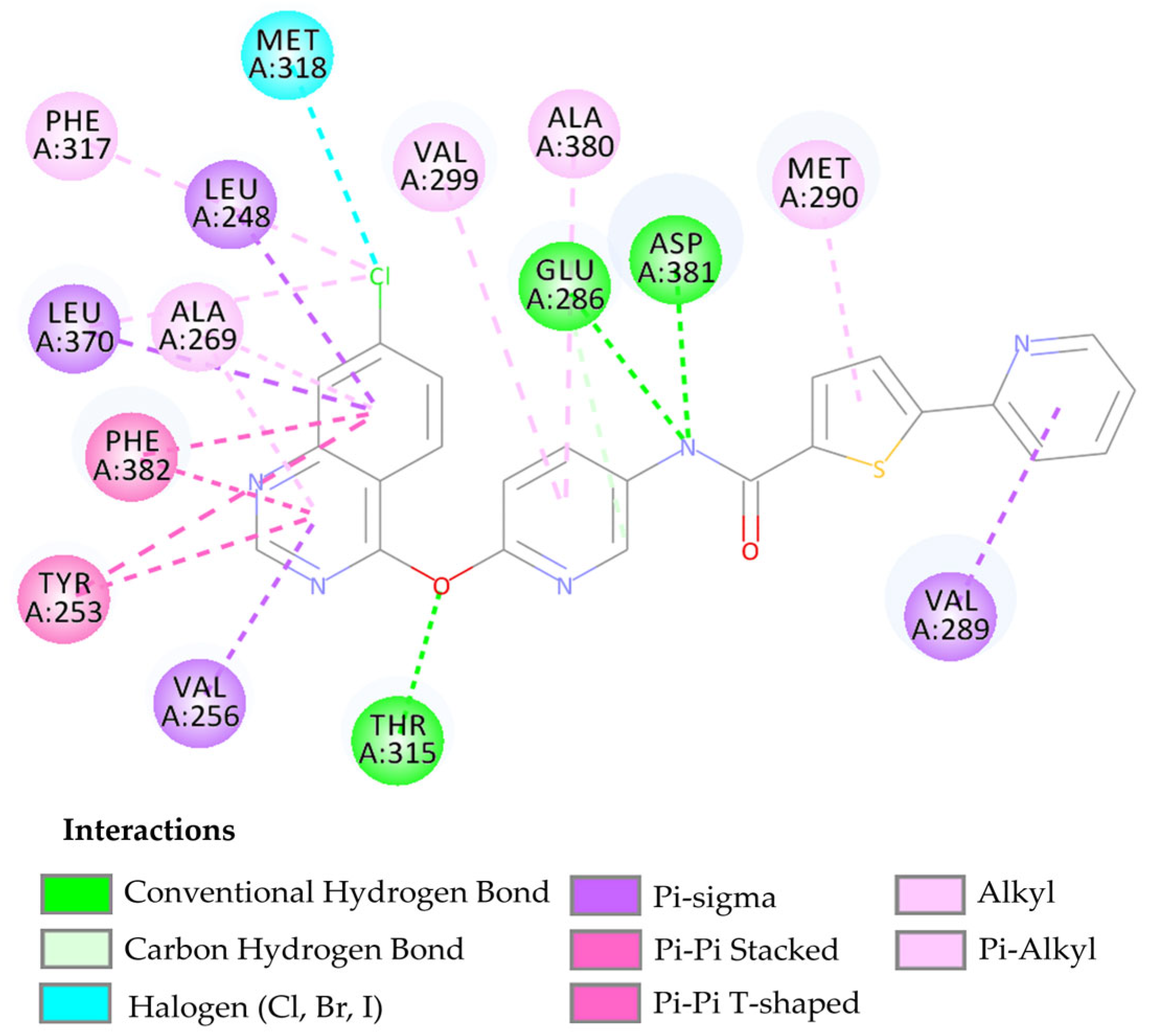Pharmaceuticals 17 01491 g005 Pharmaceuticals 17 01491 g005