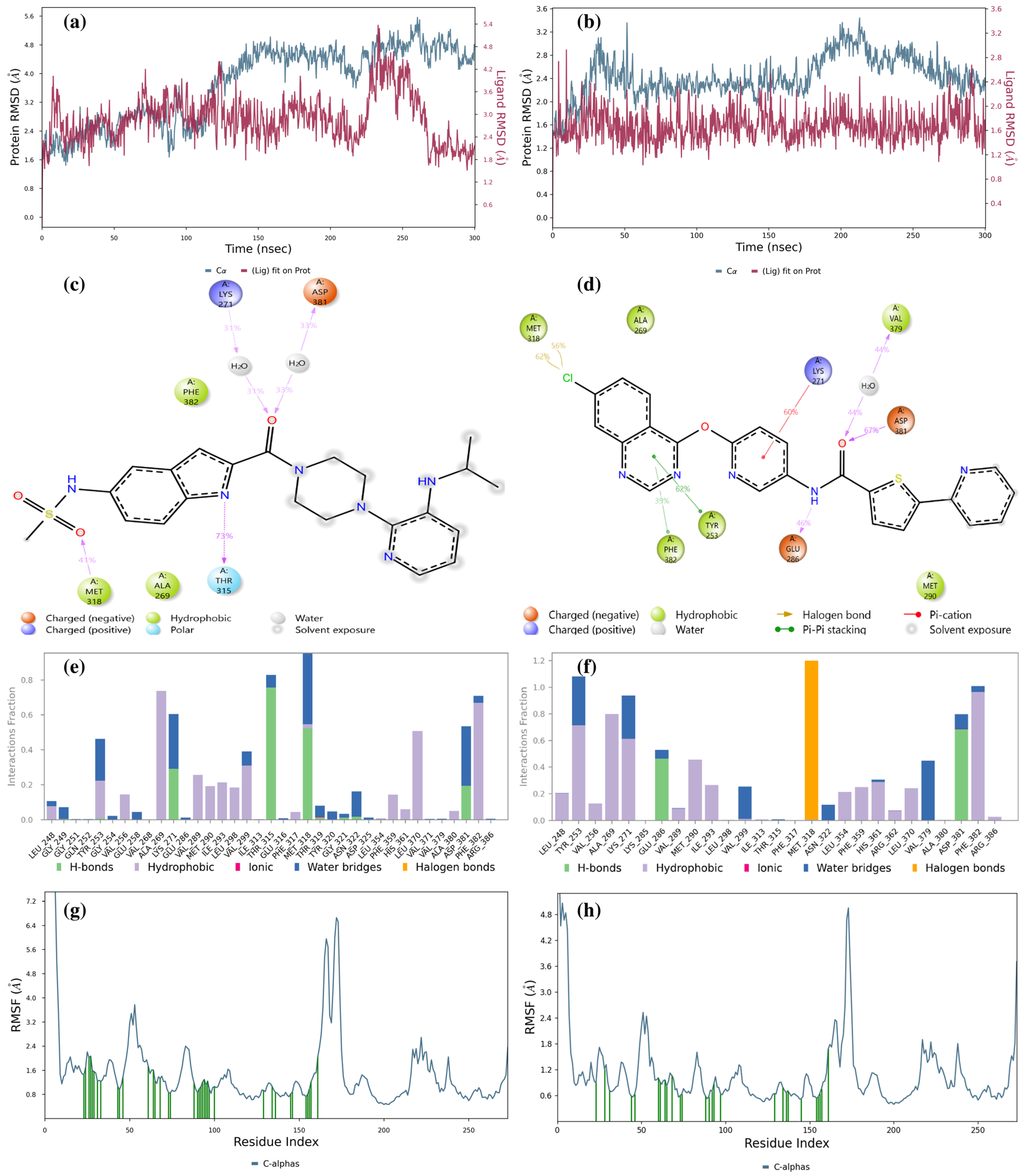 Pharmaceuticals 17 01491 g008 Pharmaceuticals 17 01491 g008