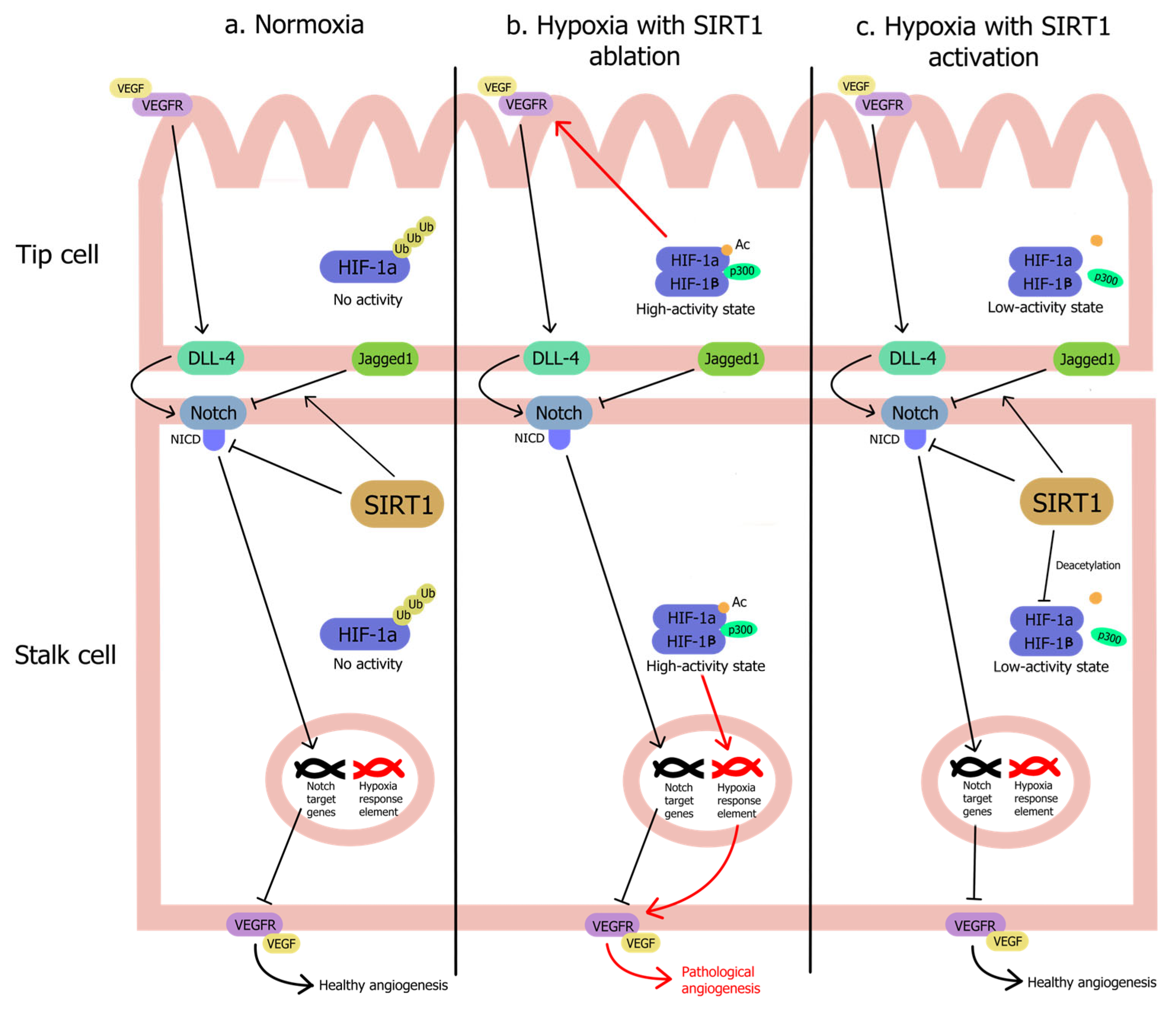 Pharmaceuticals 17 01495 g002