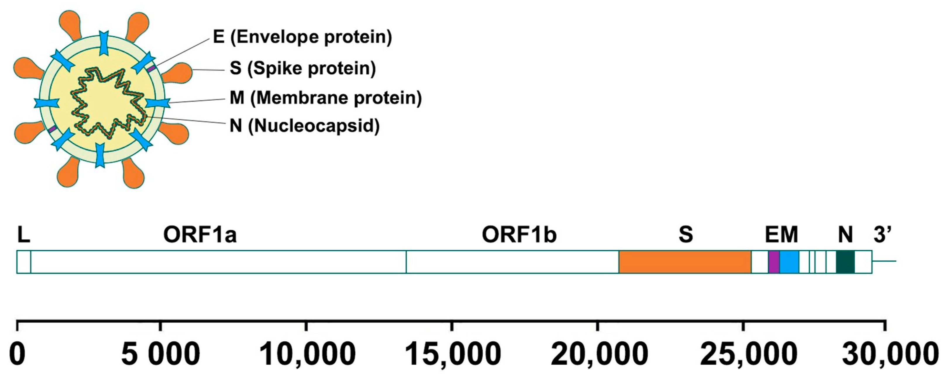 Pharmaceuticals 17 01498 g001