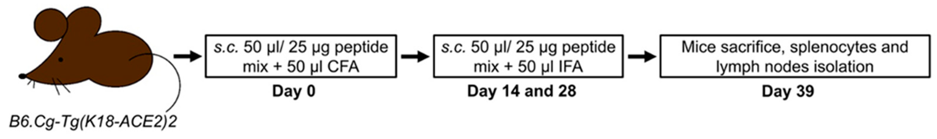 Pharmaceuticals 17 01498 g005
