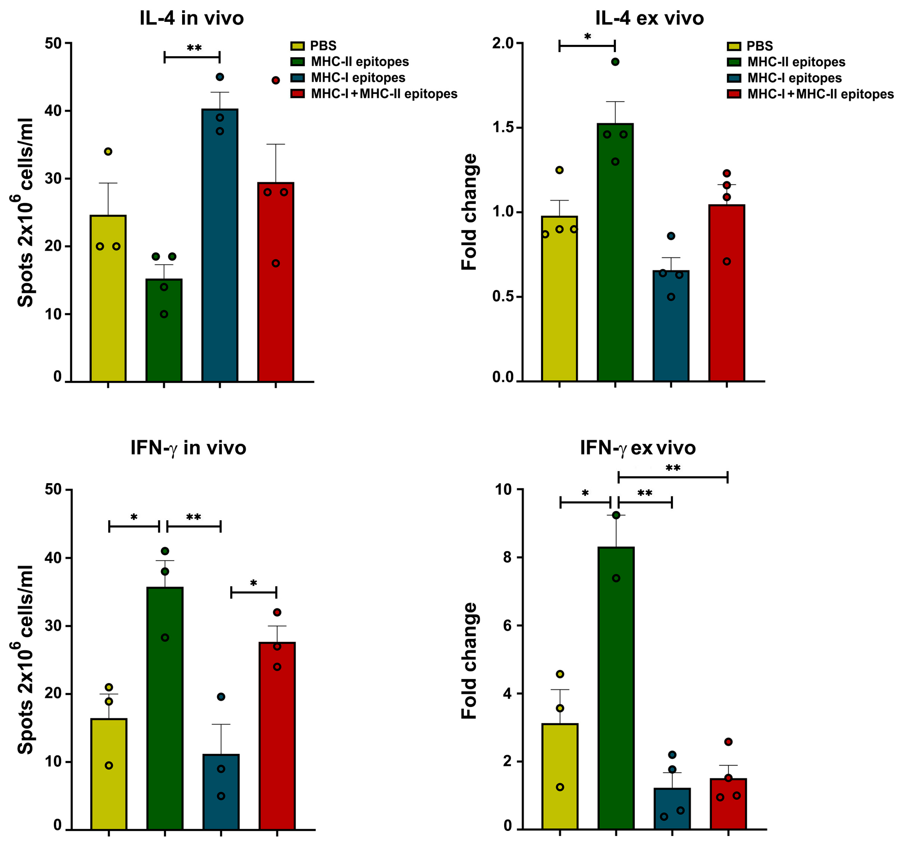 Pharmaceuticals 17 01498 g008