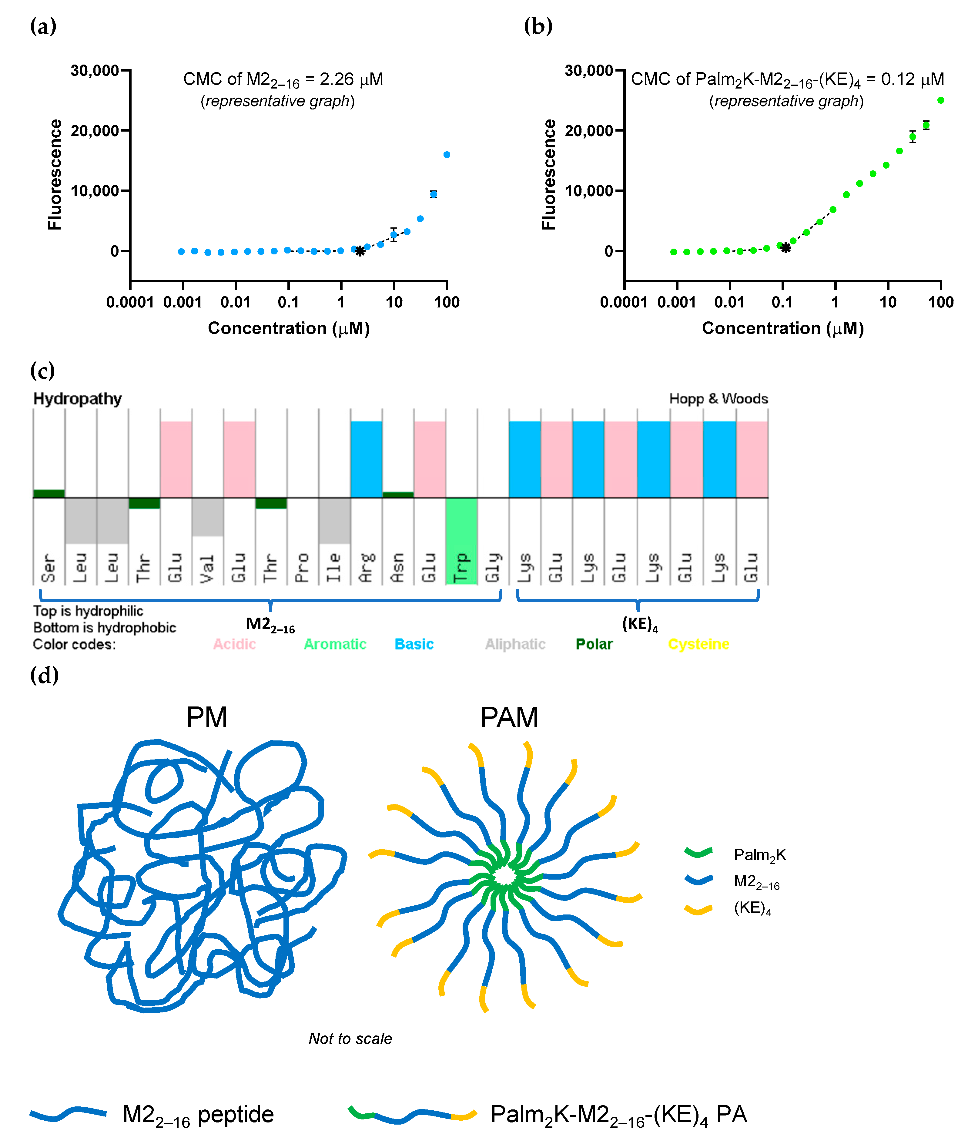 Pharmaceuticals 17 01503 g001