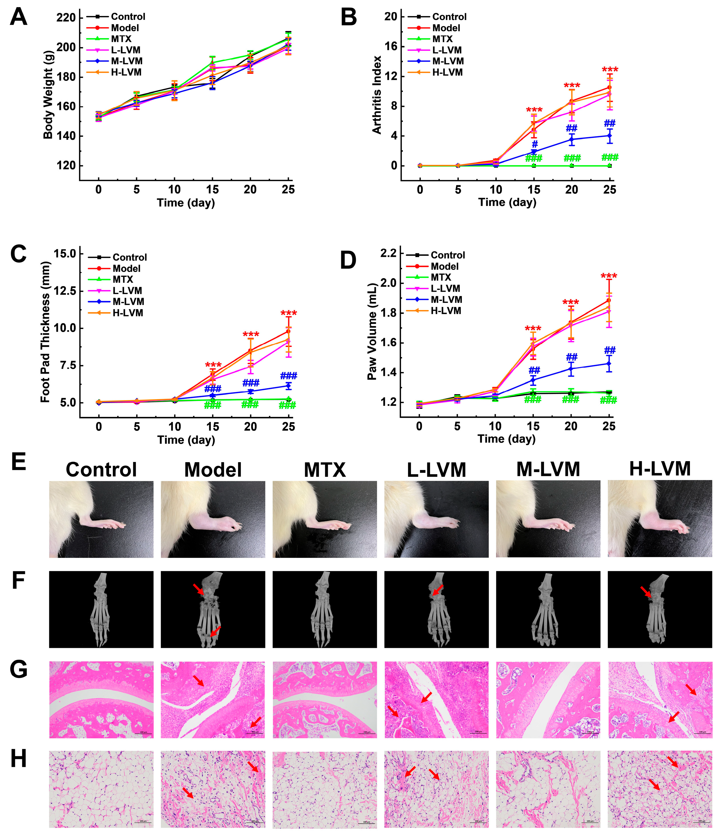 Pharmaceuticals 17 01504 g002
