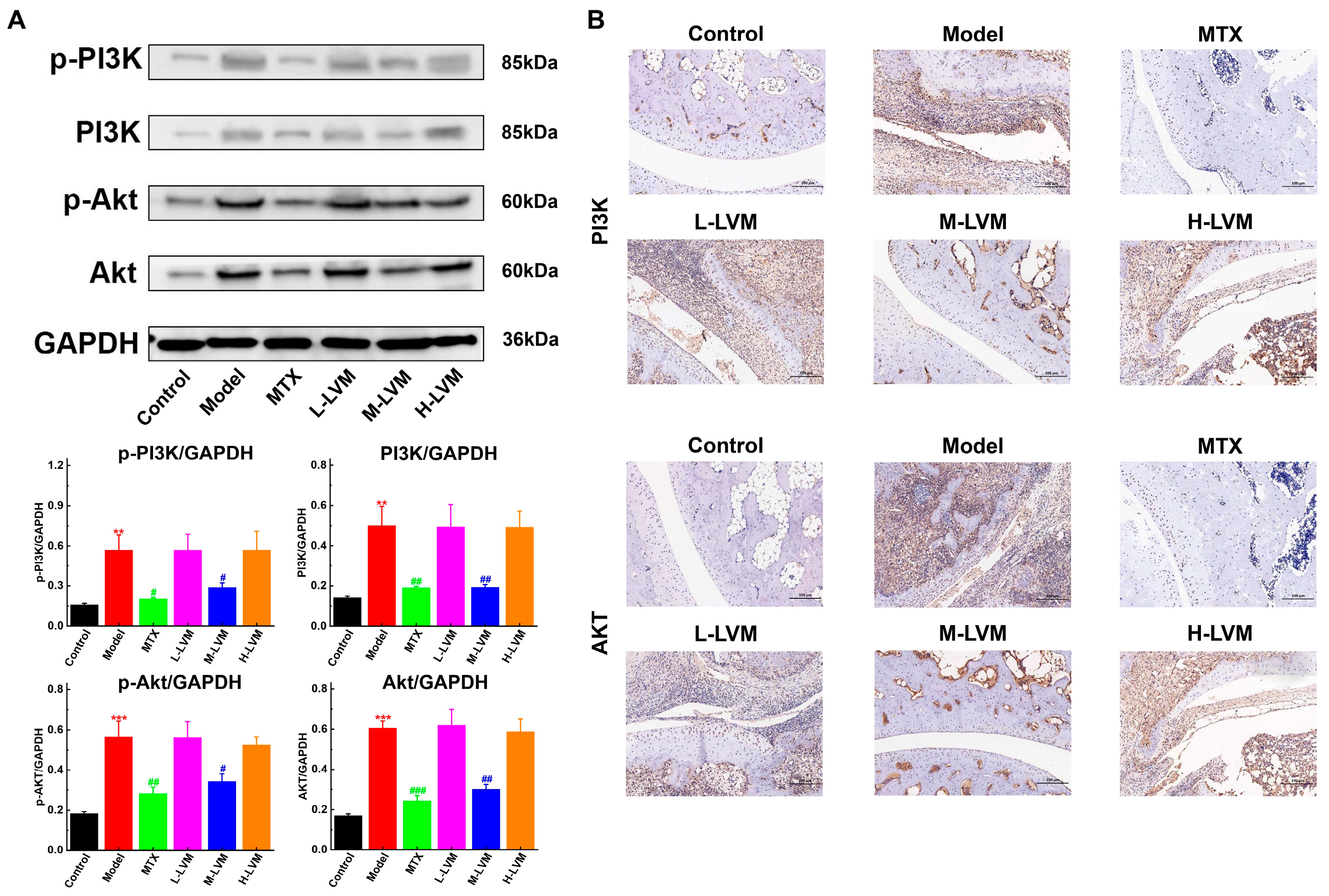 Pharmaceuticals 17 01504 g005