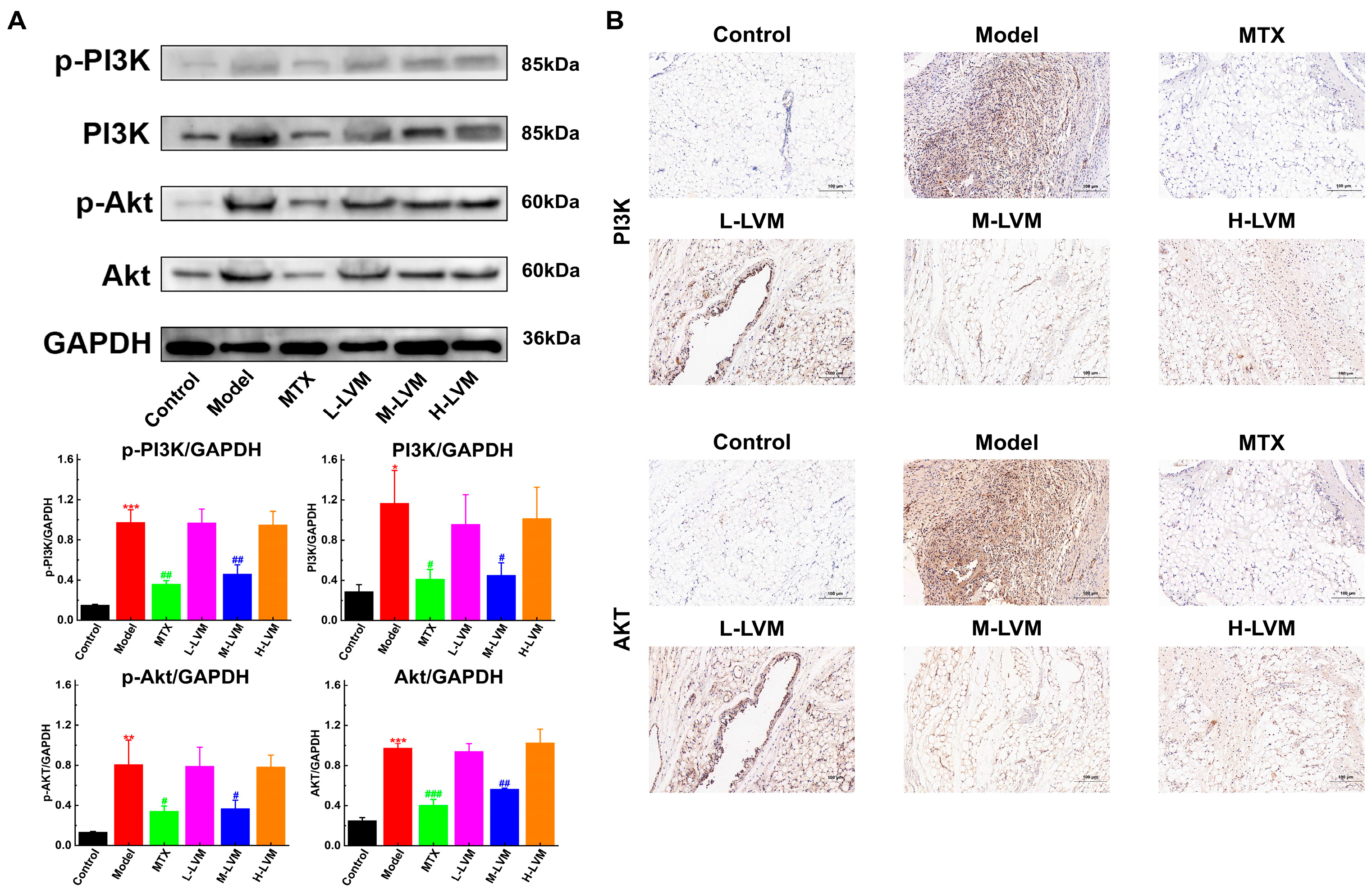 Pharmaceuticals 17 01504 g006
