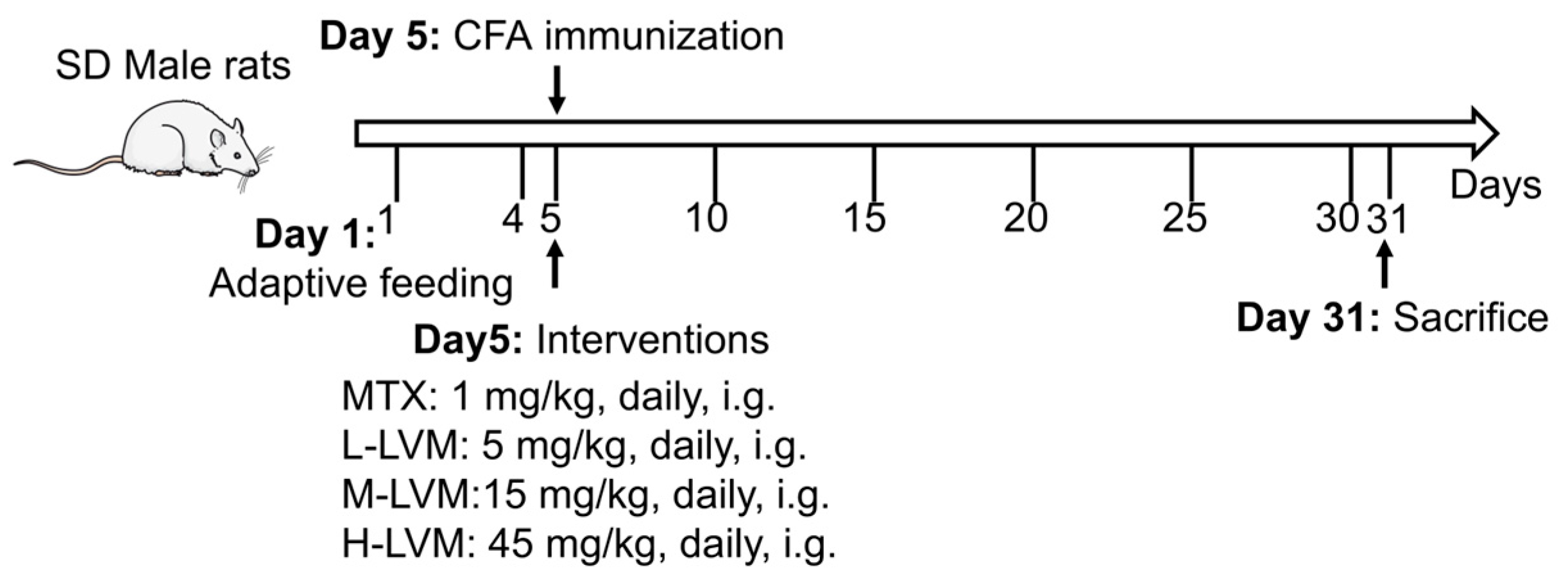 Pharmaceuticals 17 01504 g008