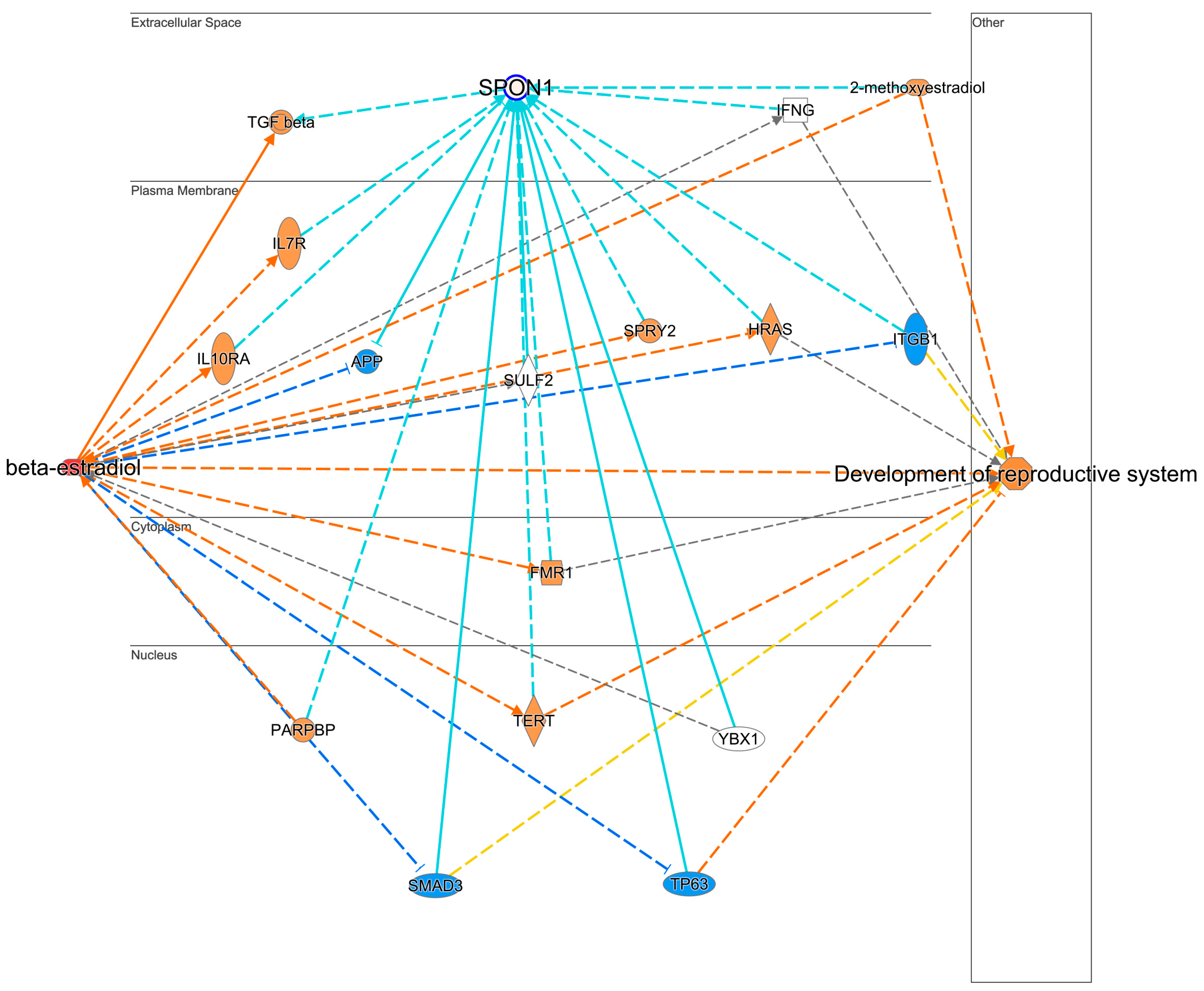 Pharmaceuticals 17 01508 g005