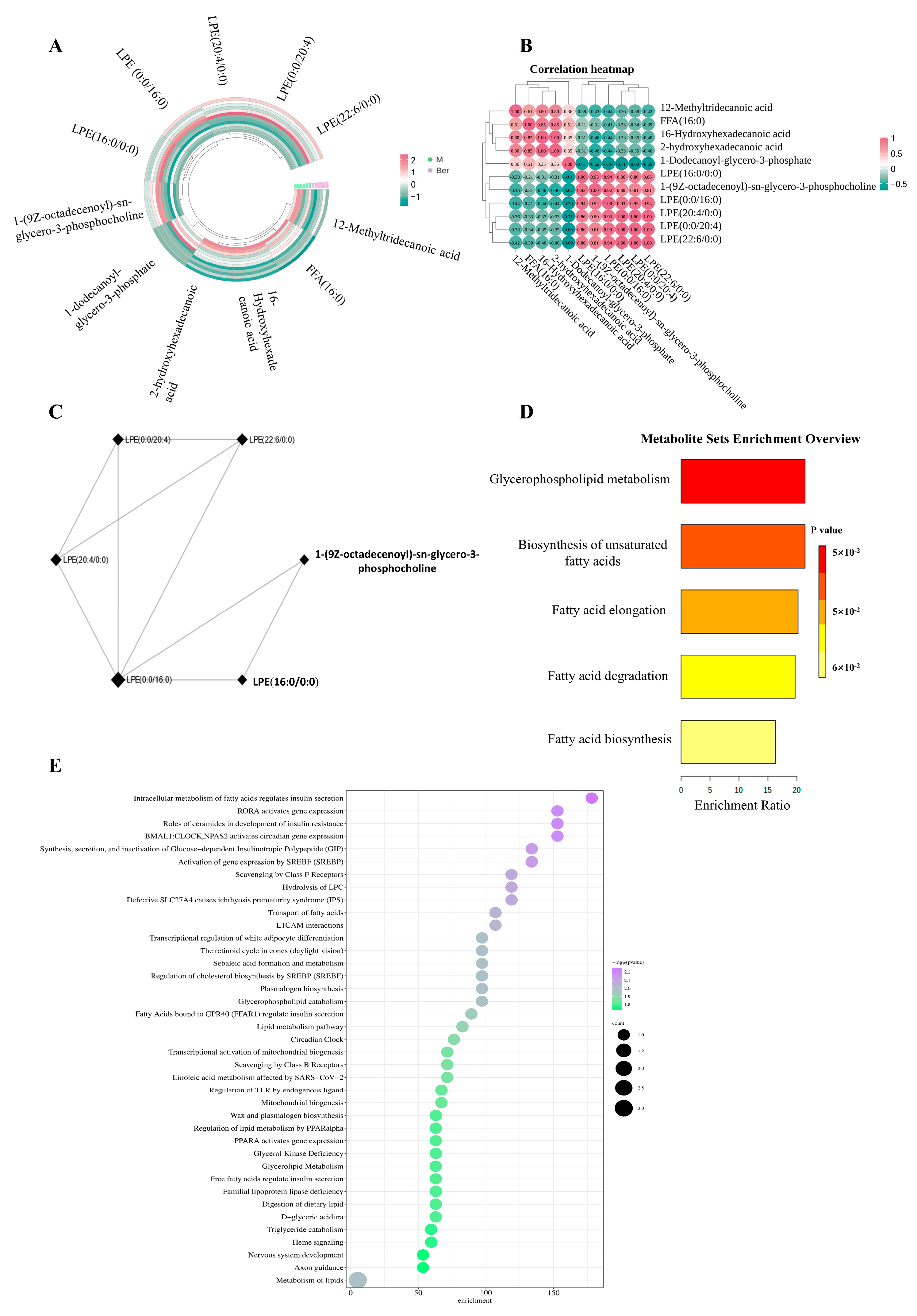 Pharmaceuticals 17 01509 g005