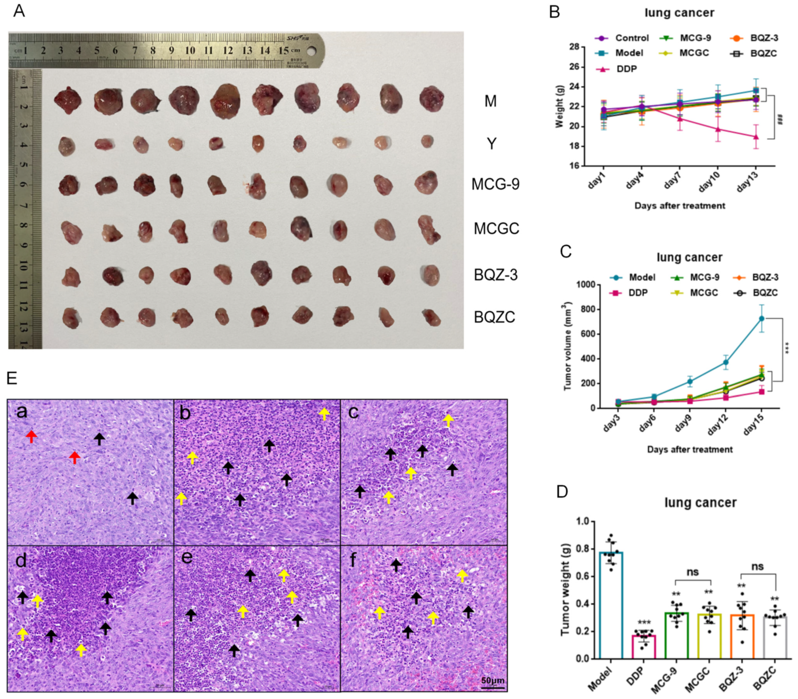 Pharmaceuticals 17 01515 g005