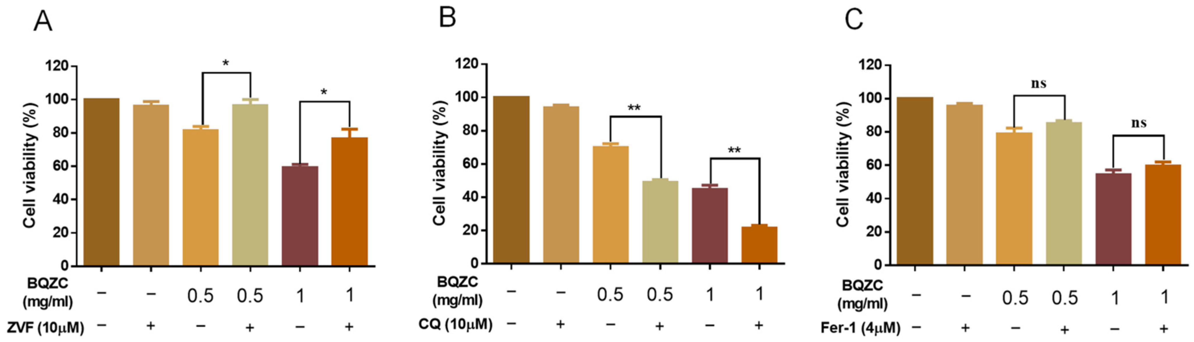 Pharmaceuticals 17 01515 g006