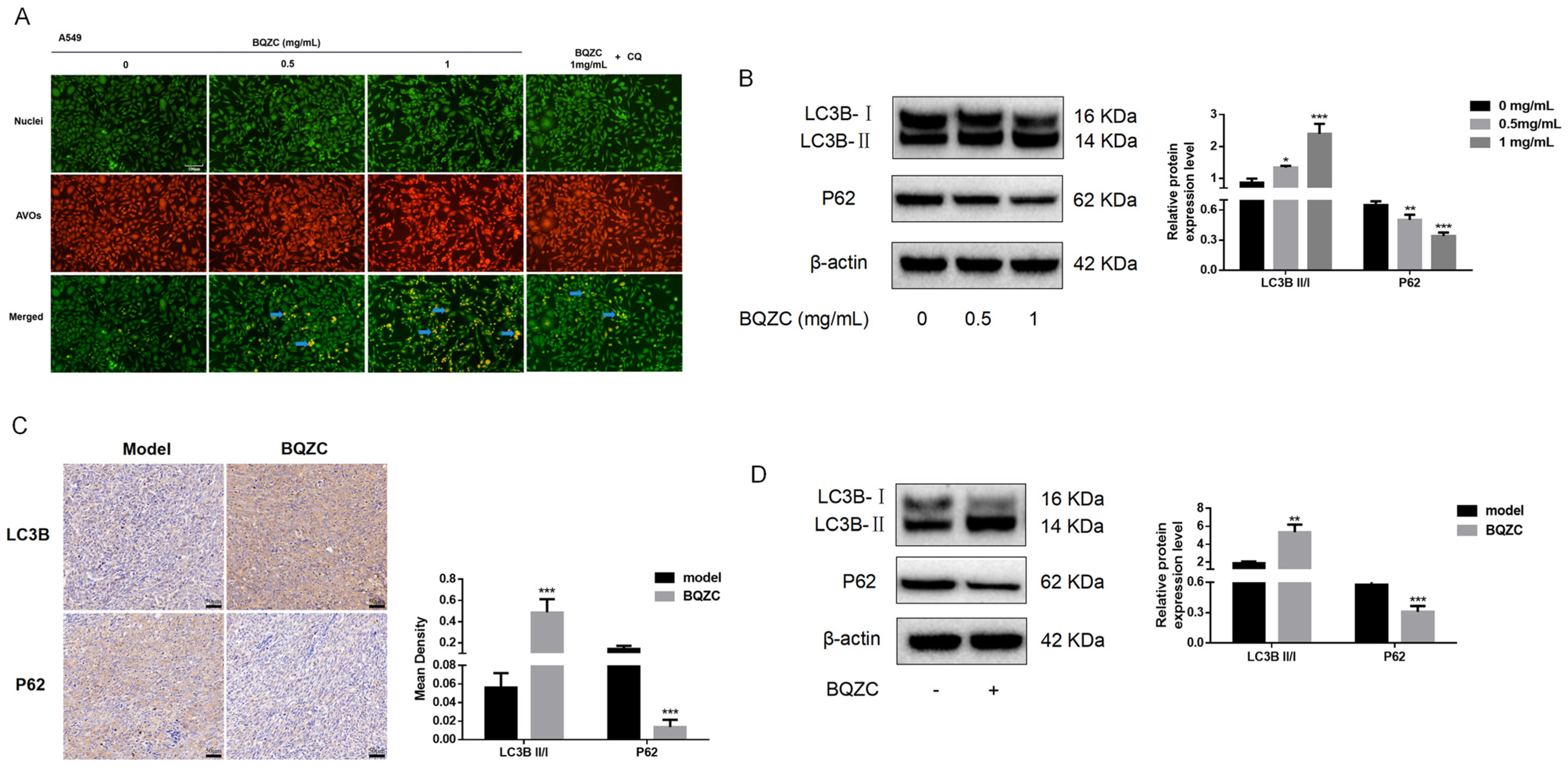 Pharmaceuticals 17 01515 g008