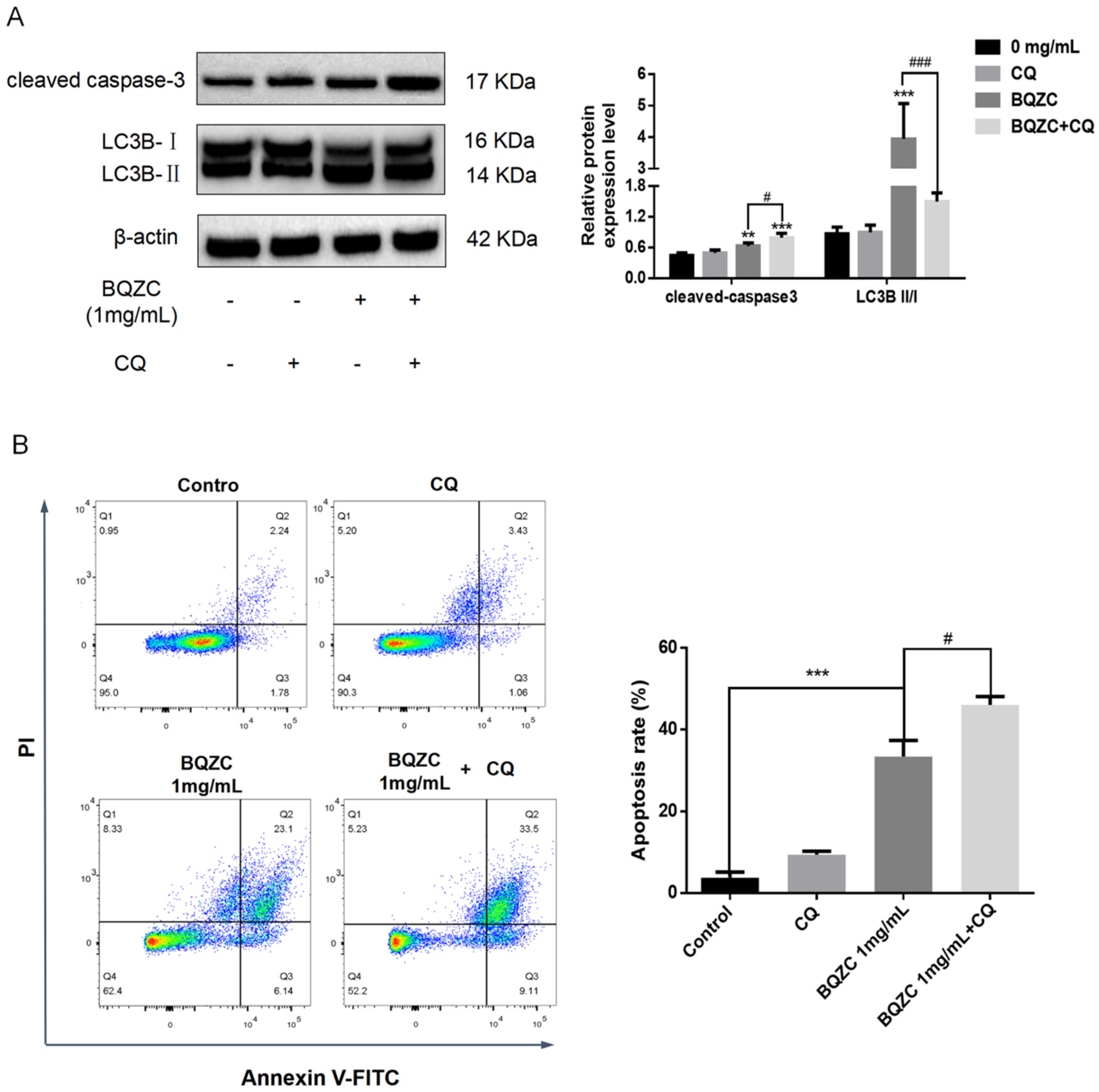 Pharmaceuticals 17 01515 g009
