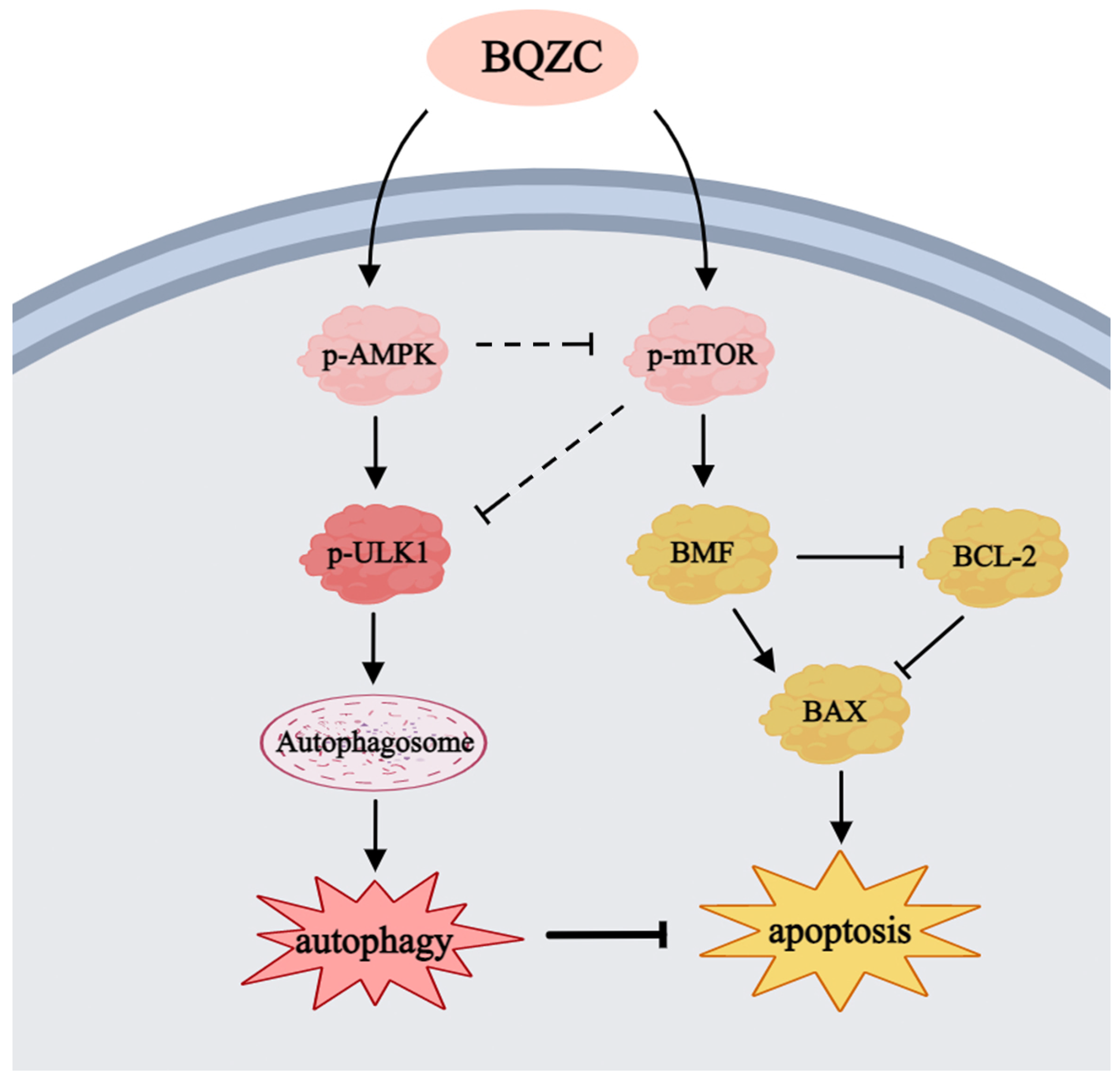 Pharmaceuticals 17 01515 g010