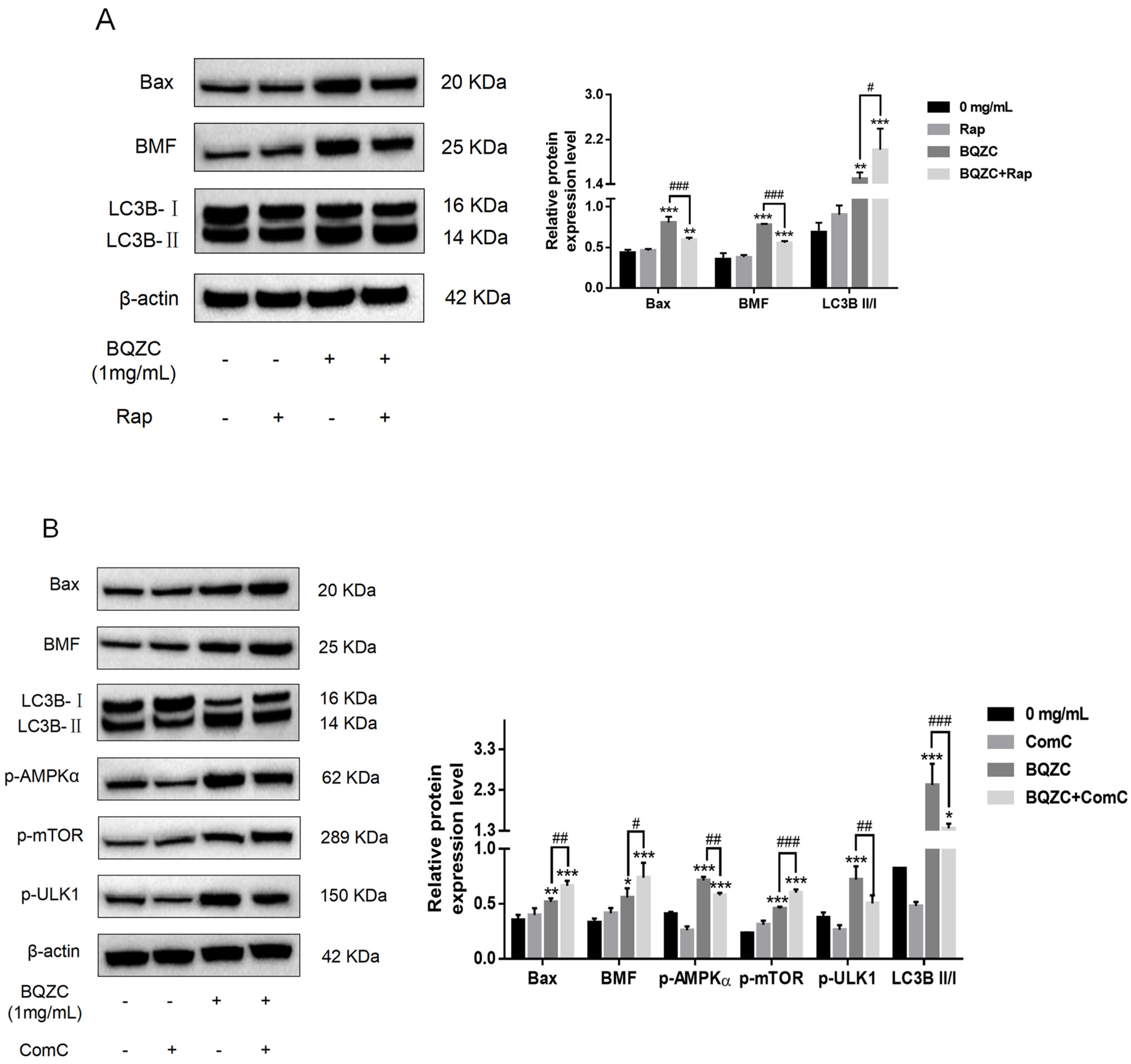 Pharmaceuticals 17 01515 g011a