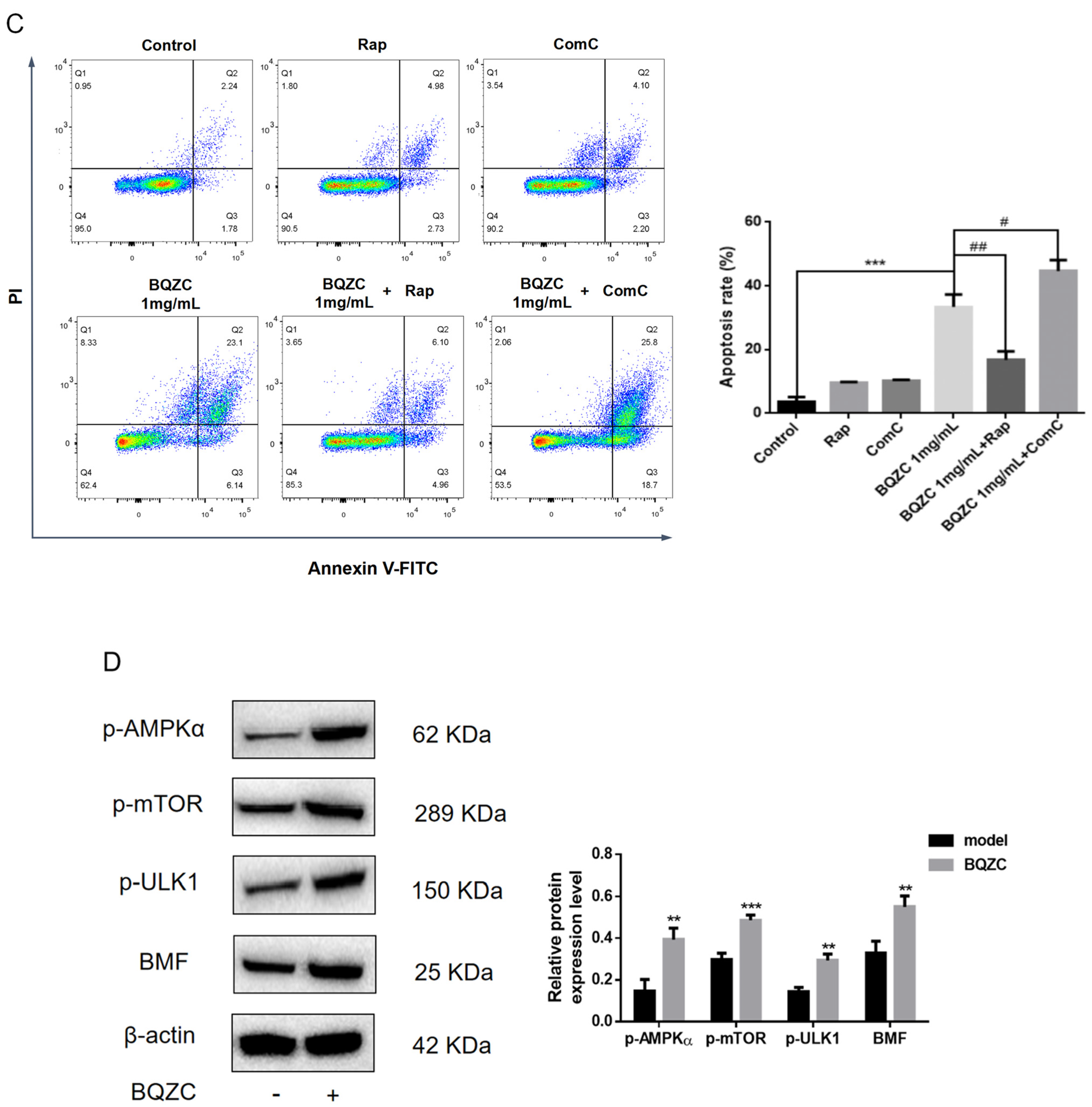 Pharmaceuticals 17 01515 g011b