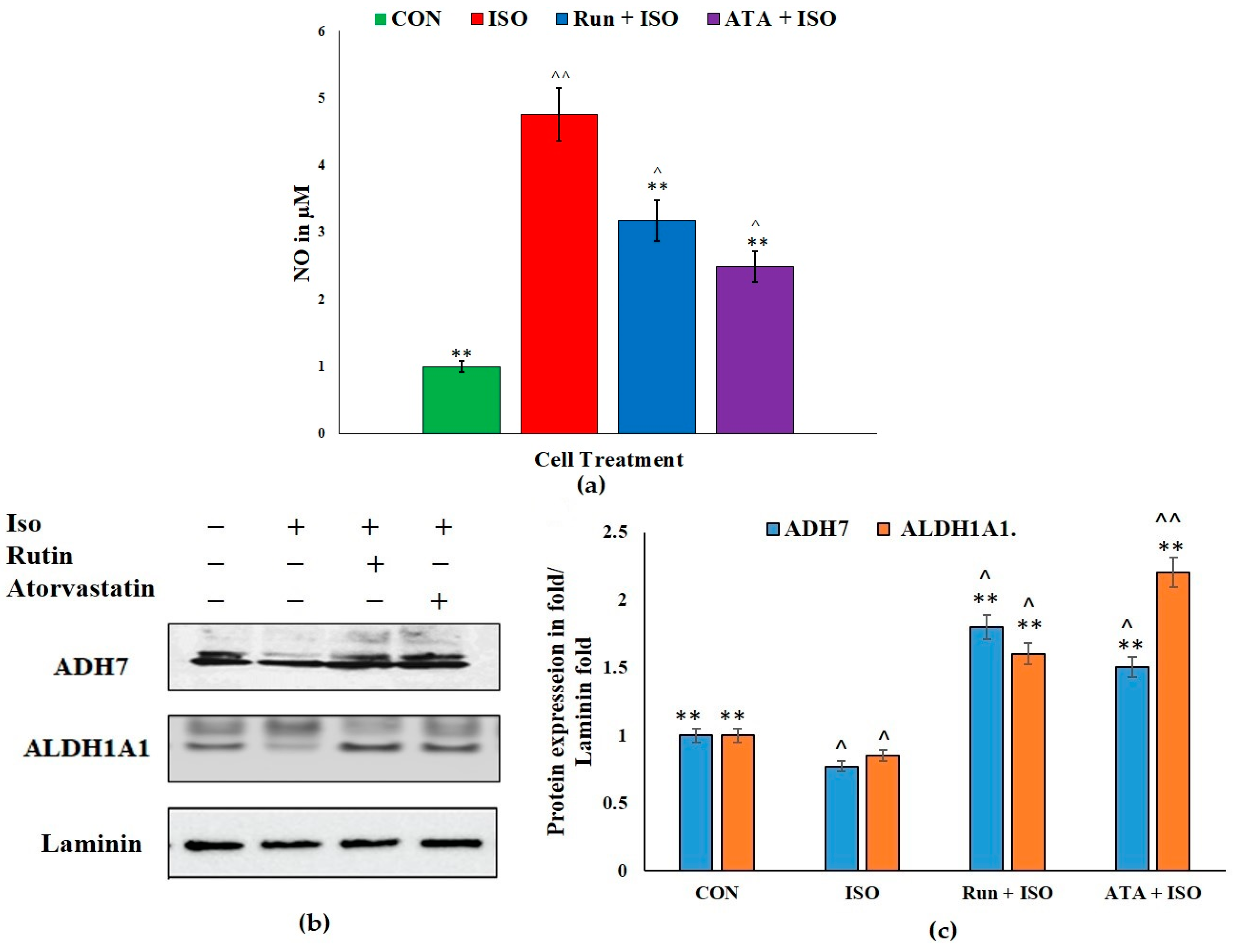 Pharmaceuticals 17 01523 g002