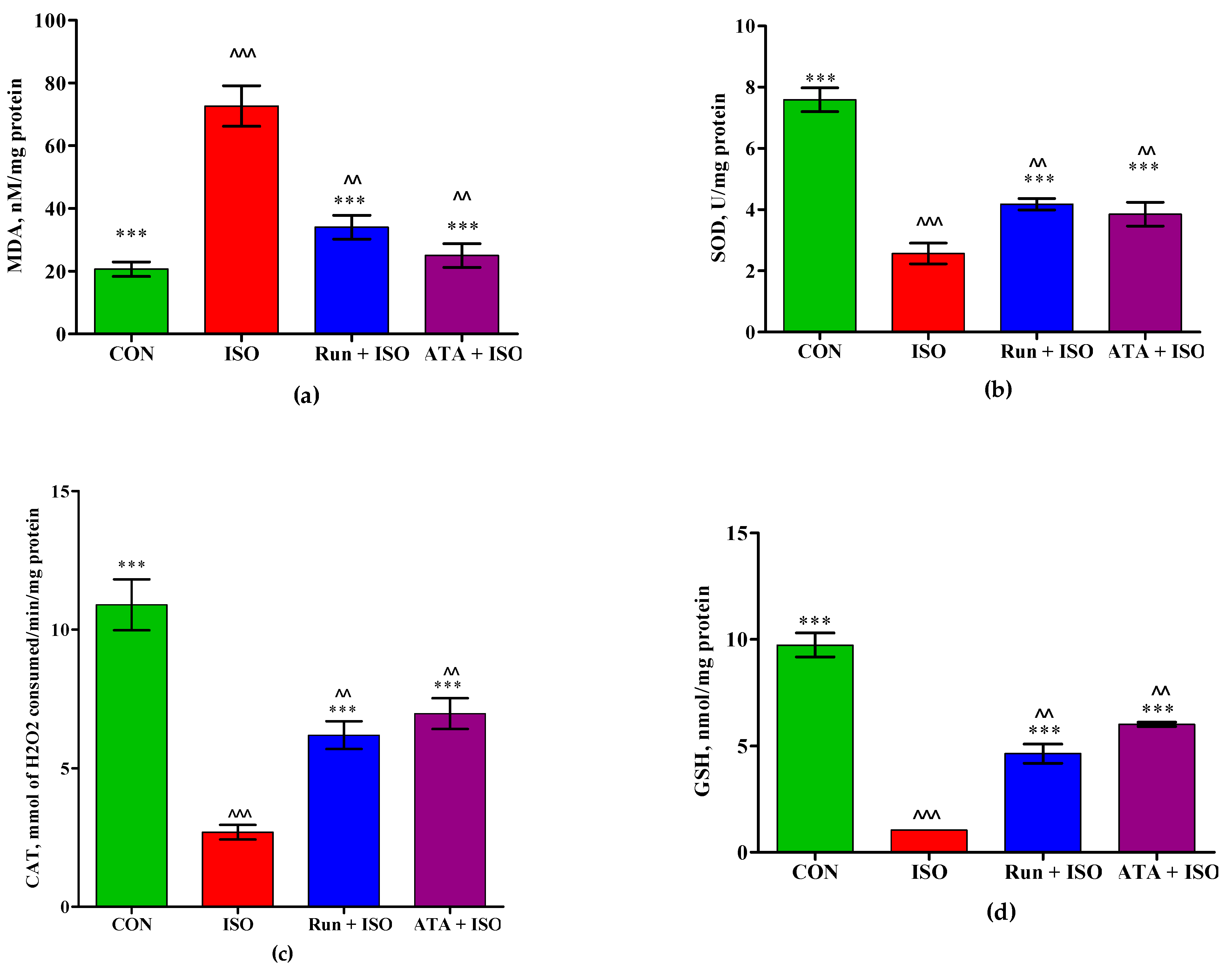 Pharmaceuticals 17 01523 g004