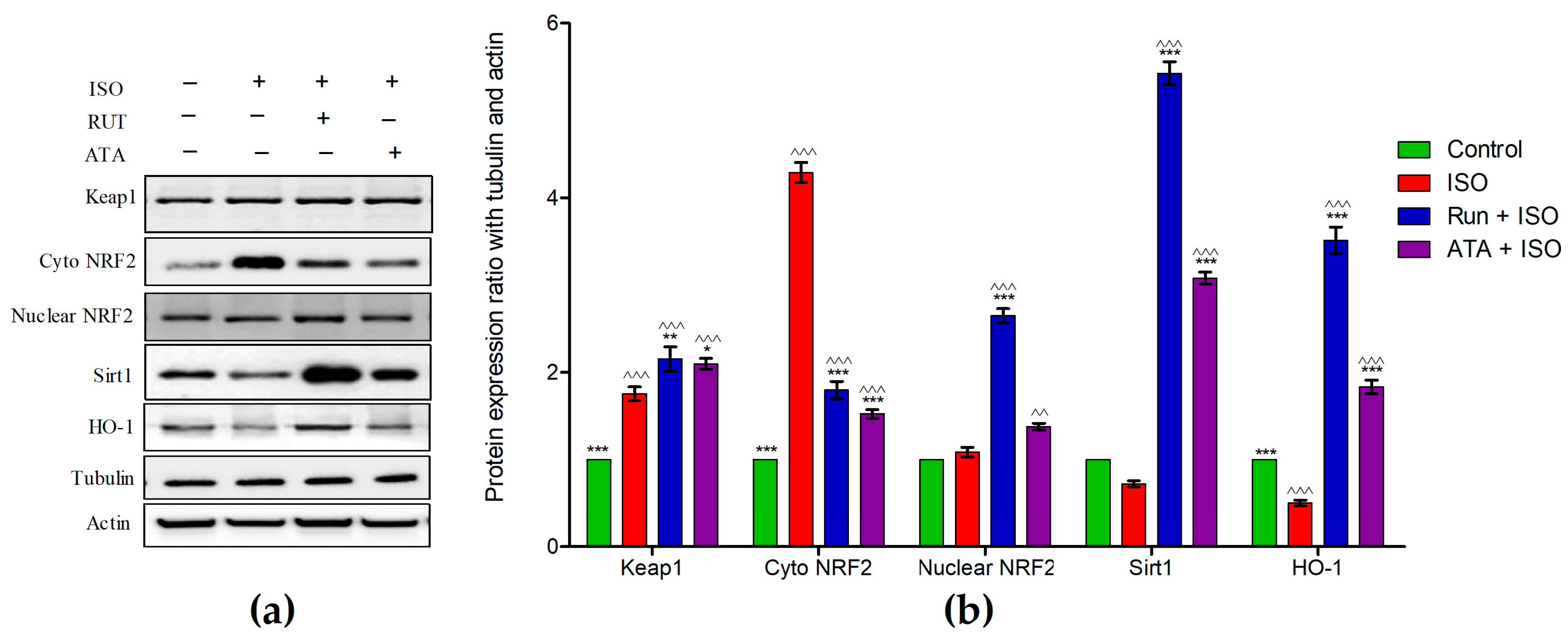 Pharmaceuticals 17 01523 g006