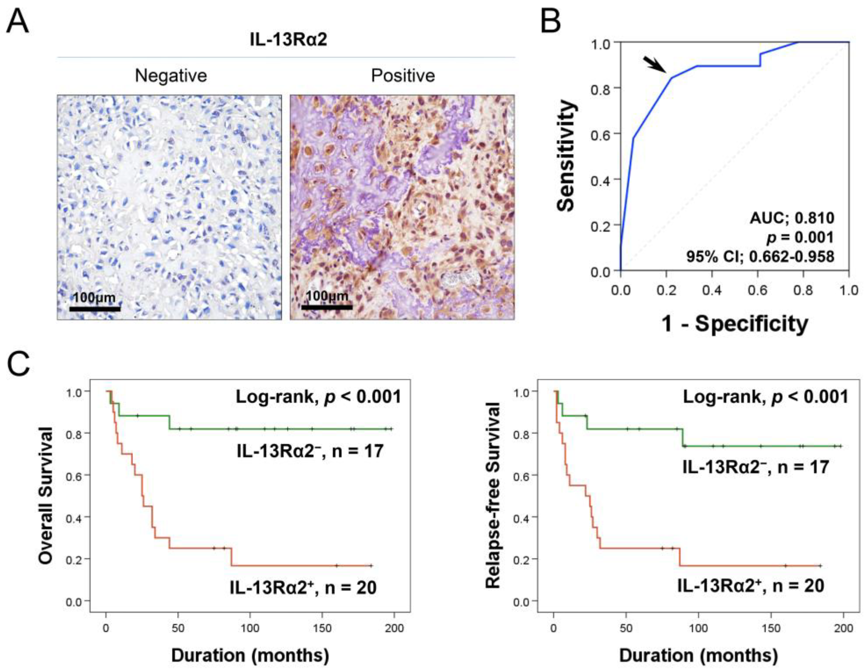 Pharmaceuticals 17 01526 g001