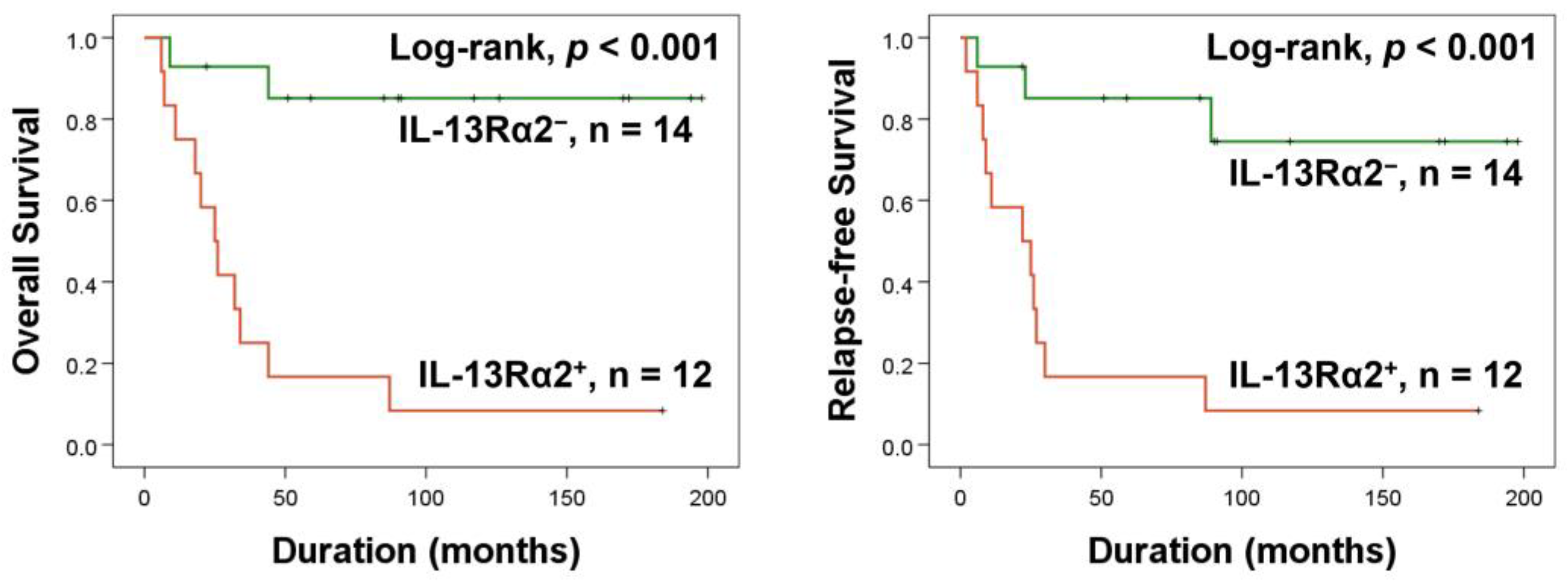 Pharmaceuticals 17 01526 g002