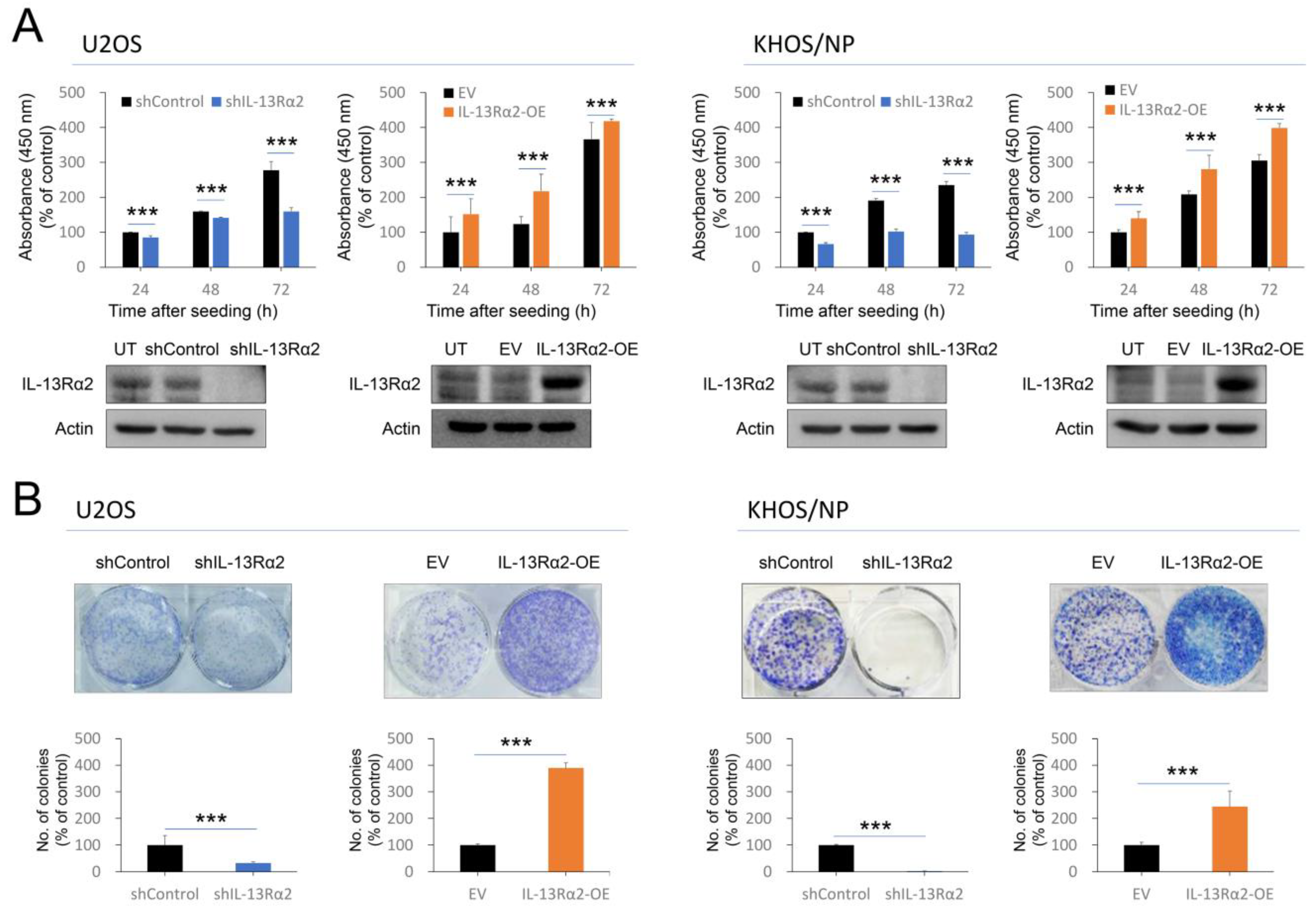 Pharmaceuticals 17 01526 g003