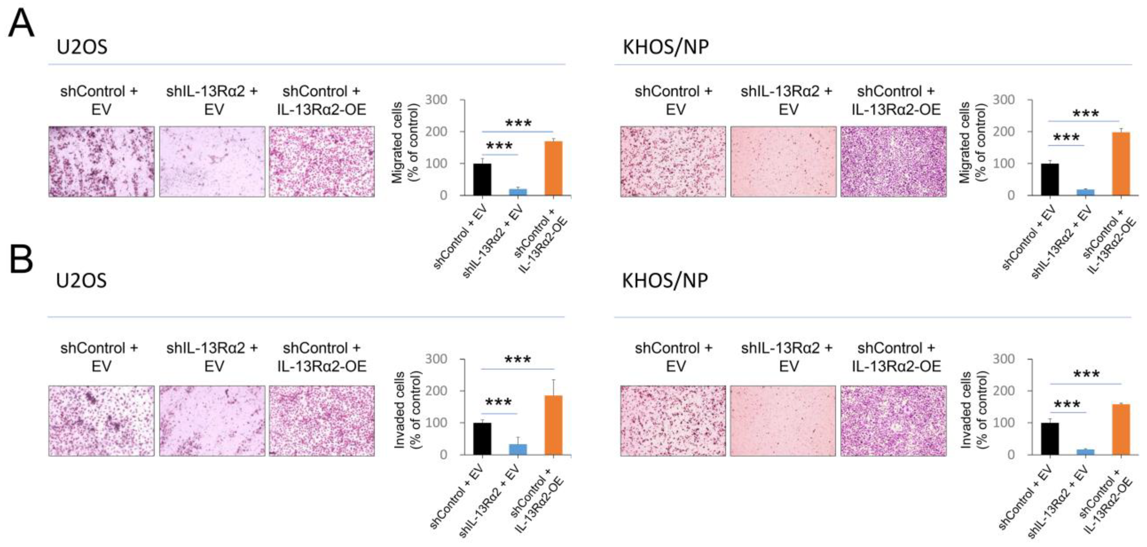 Pharmaceuticals 17 01526 g004