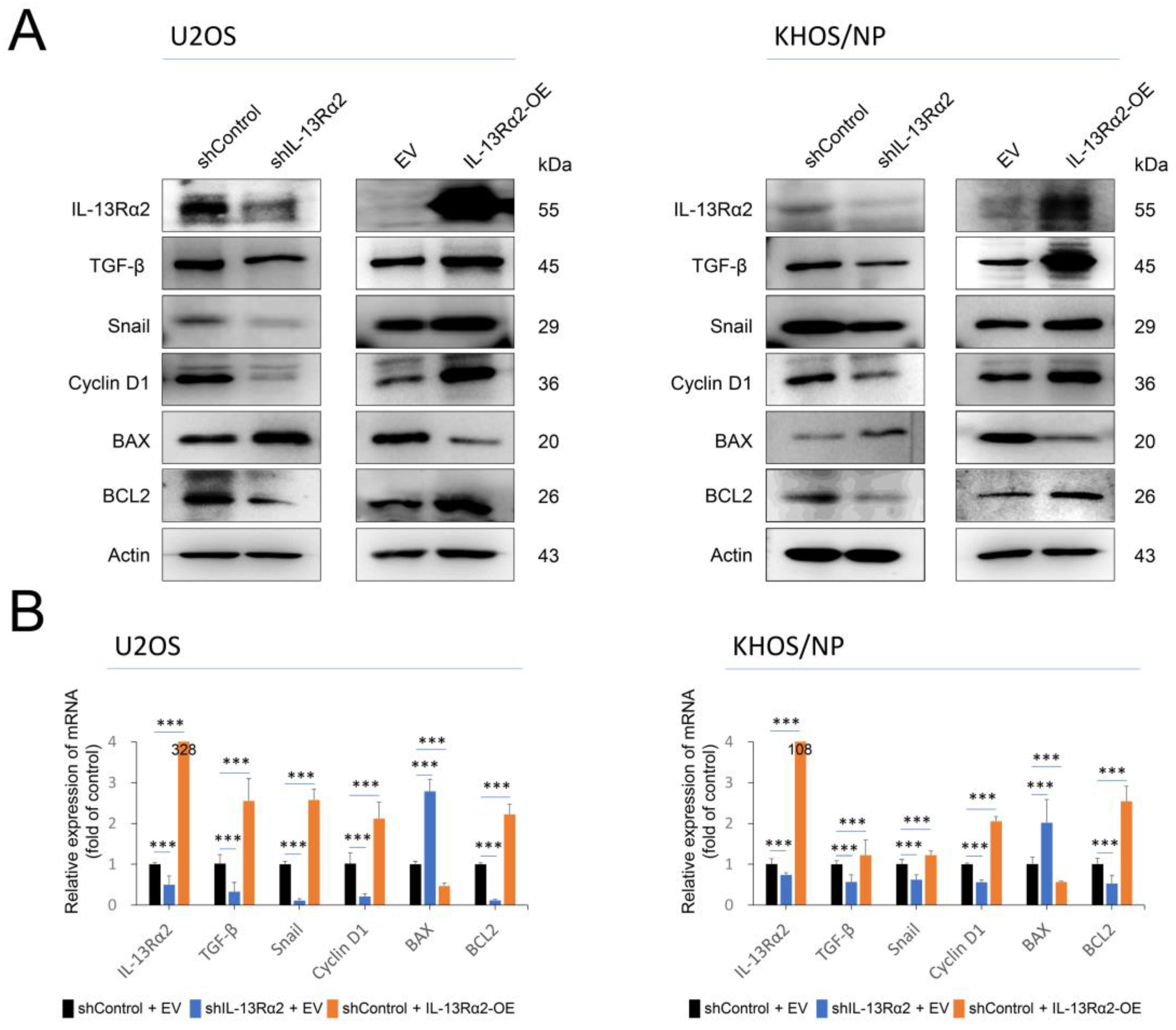 Pharmaceuticals 17 01526 g005