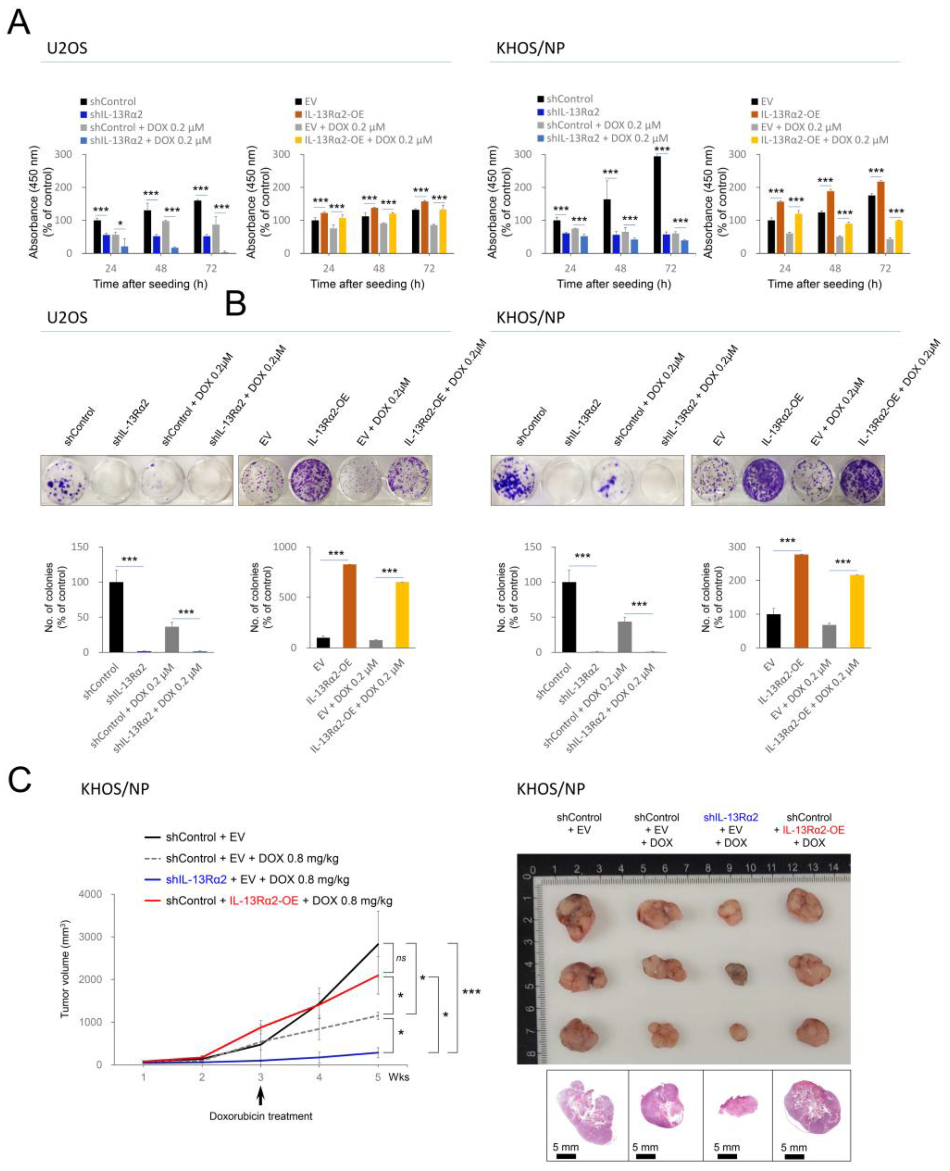 Pharmaceuticals 17 01526 g006