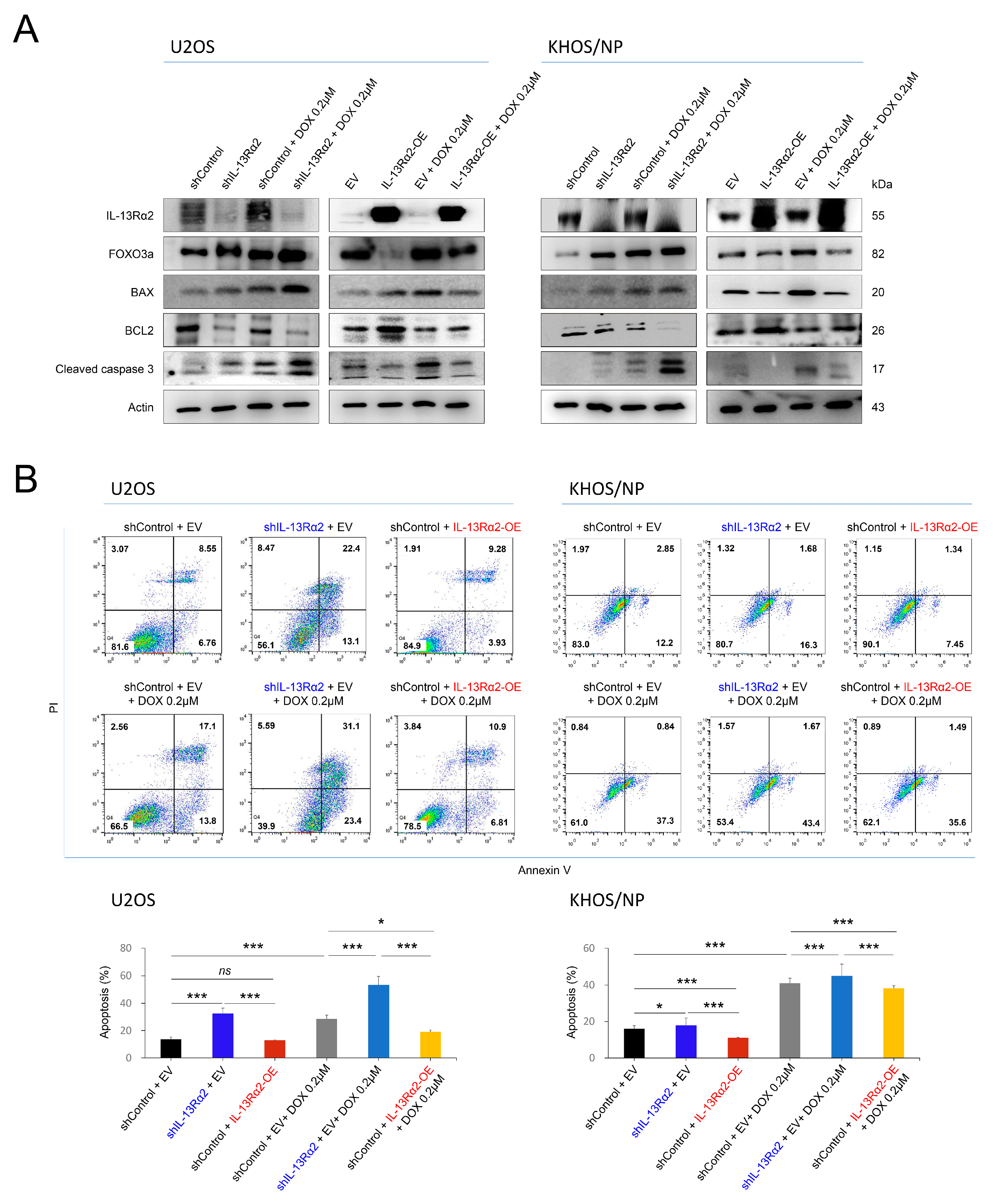 Pharmaceuticals 17 01526 g007