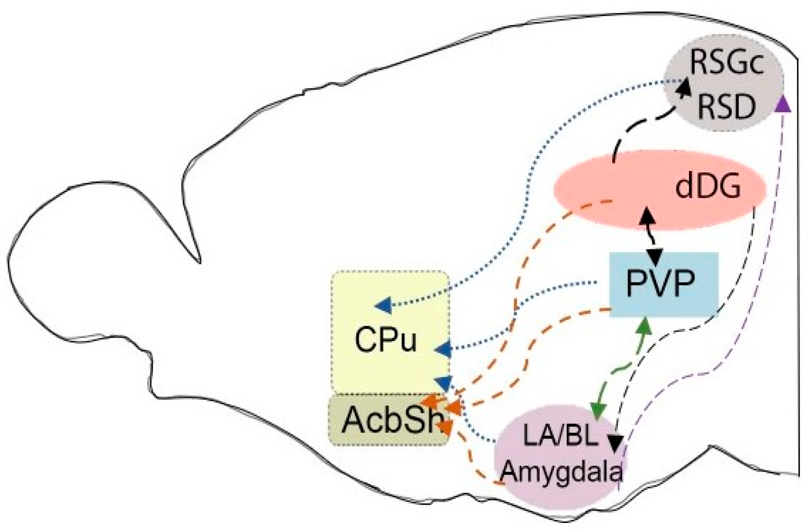 Pharmaceuticals 17 01527 g002