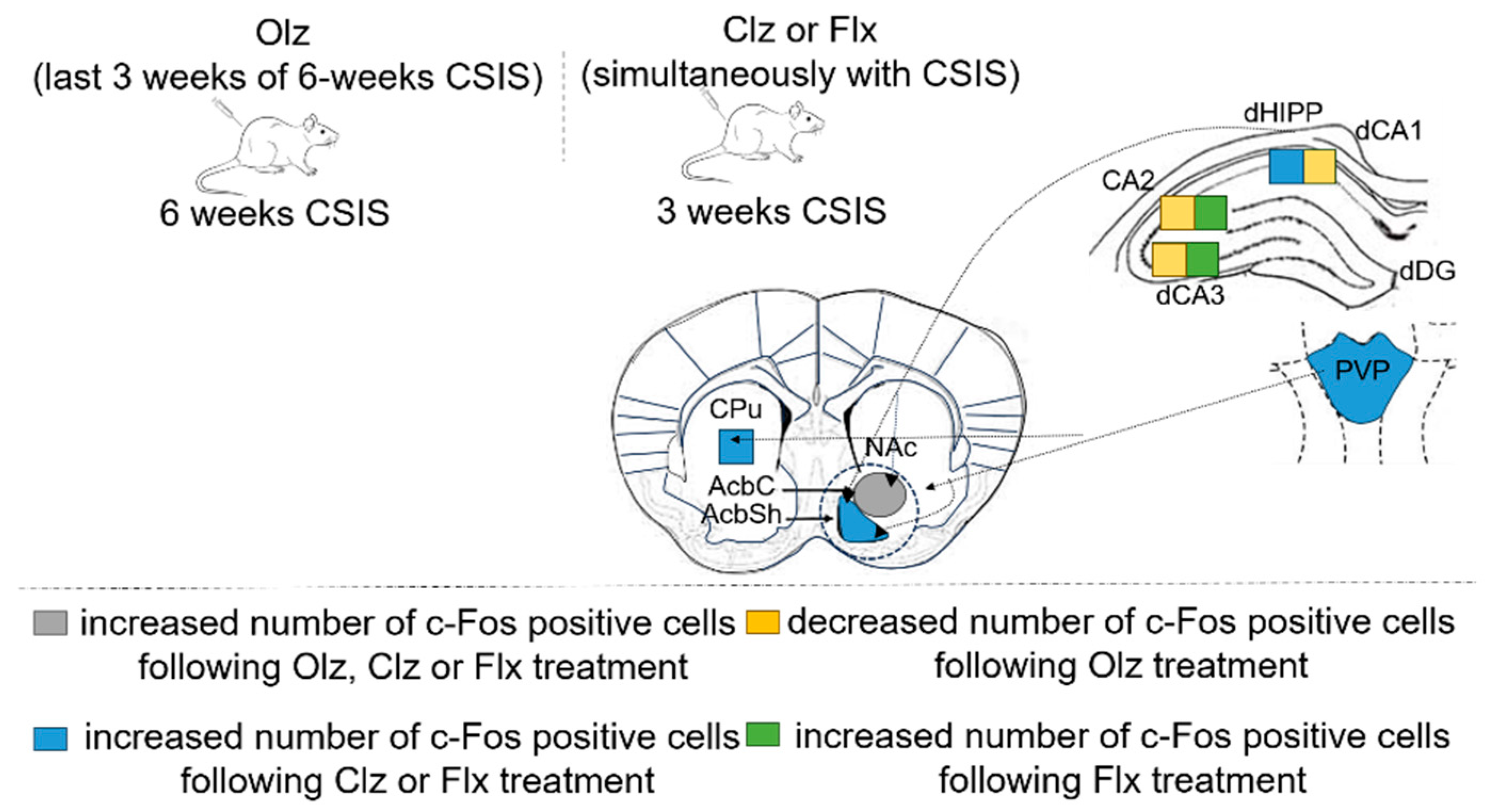 Pharmaceuticals 17 01527 g005