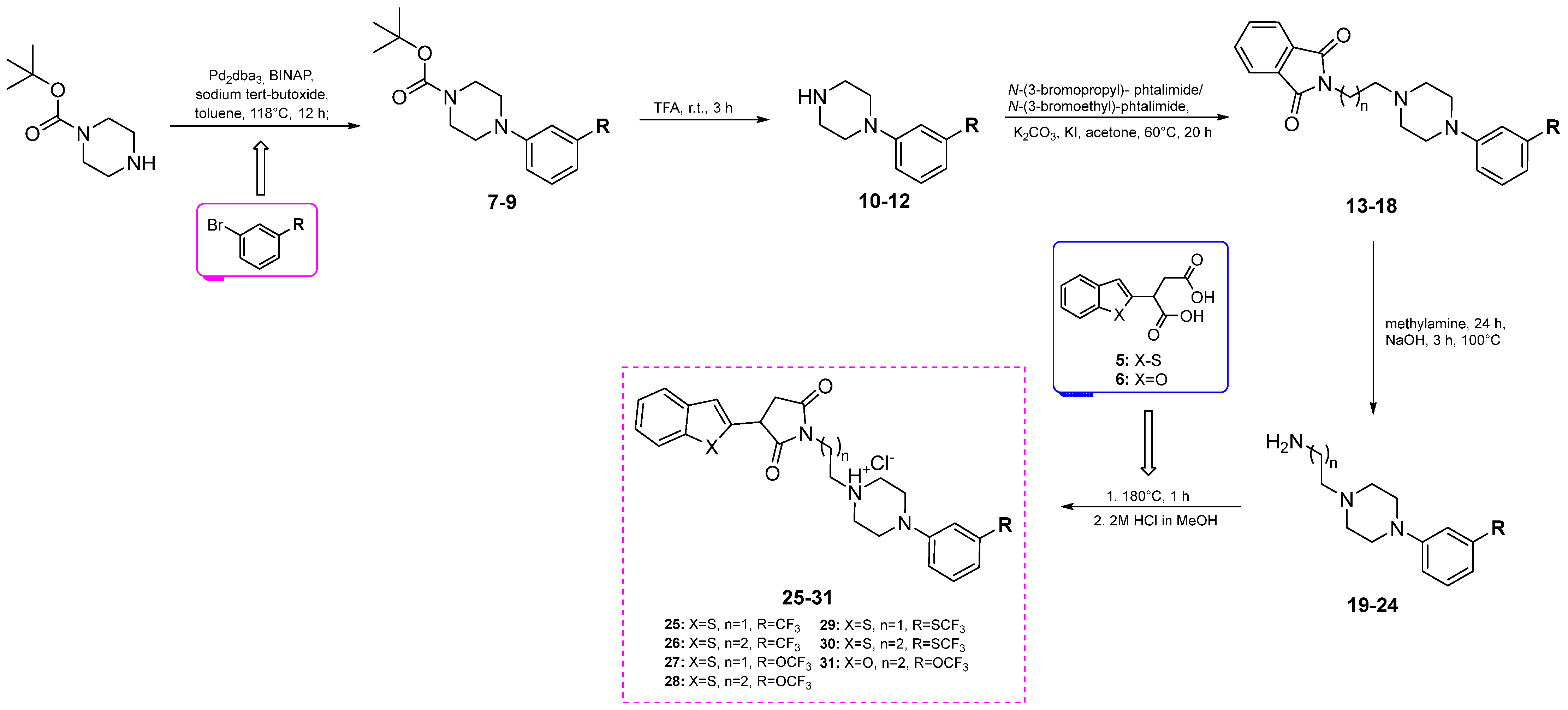 Pharmaceuticals 17 01532 sch002