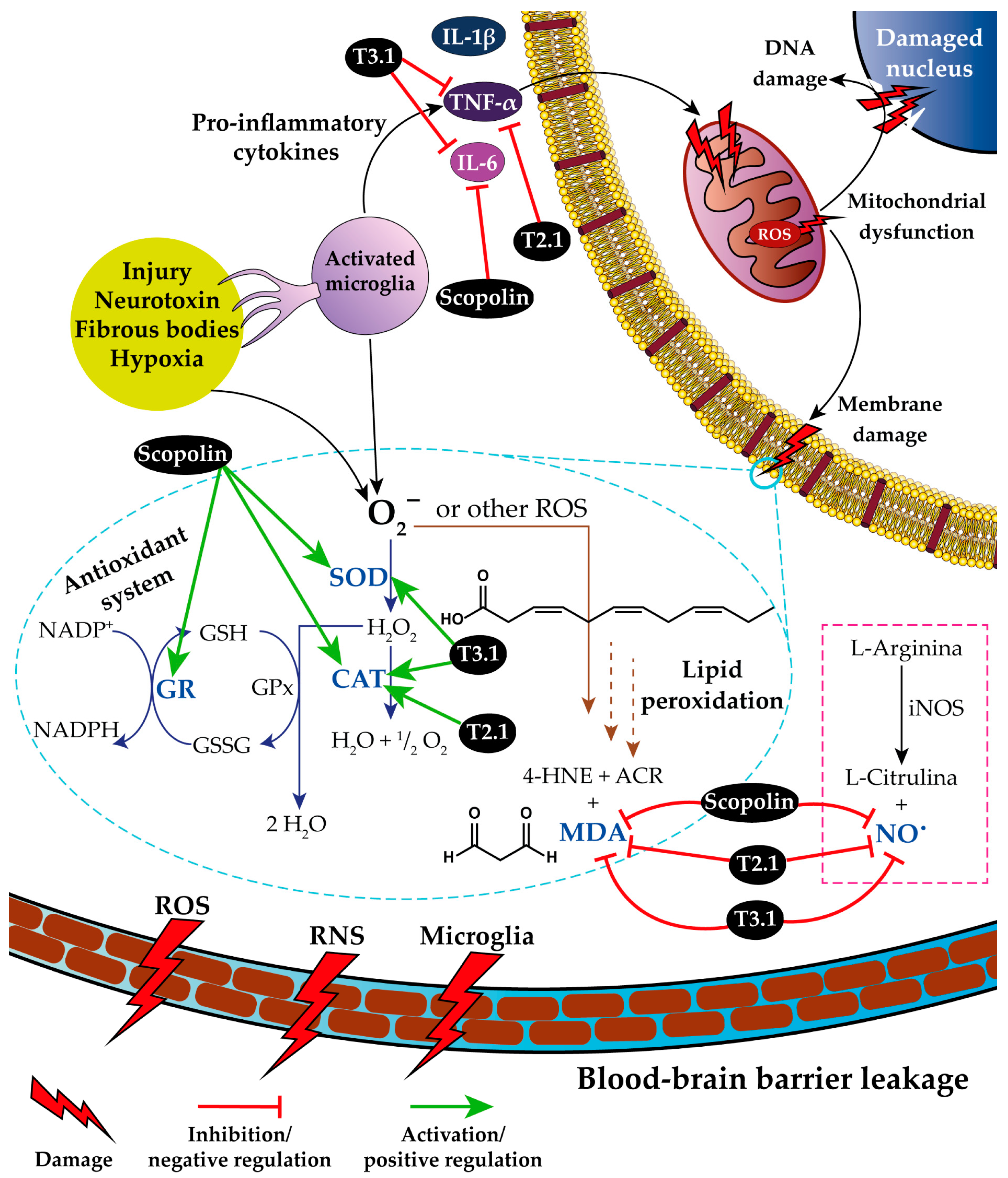Pharmaceuticals 17 01534 g007