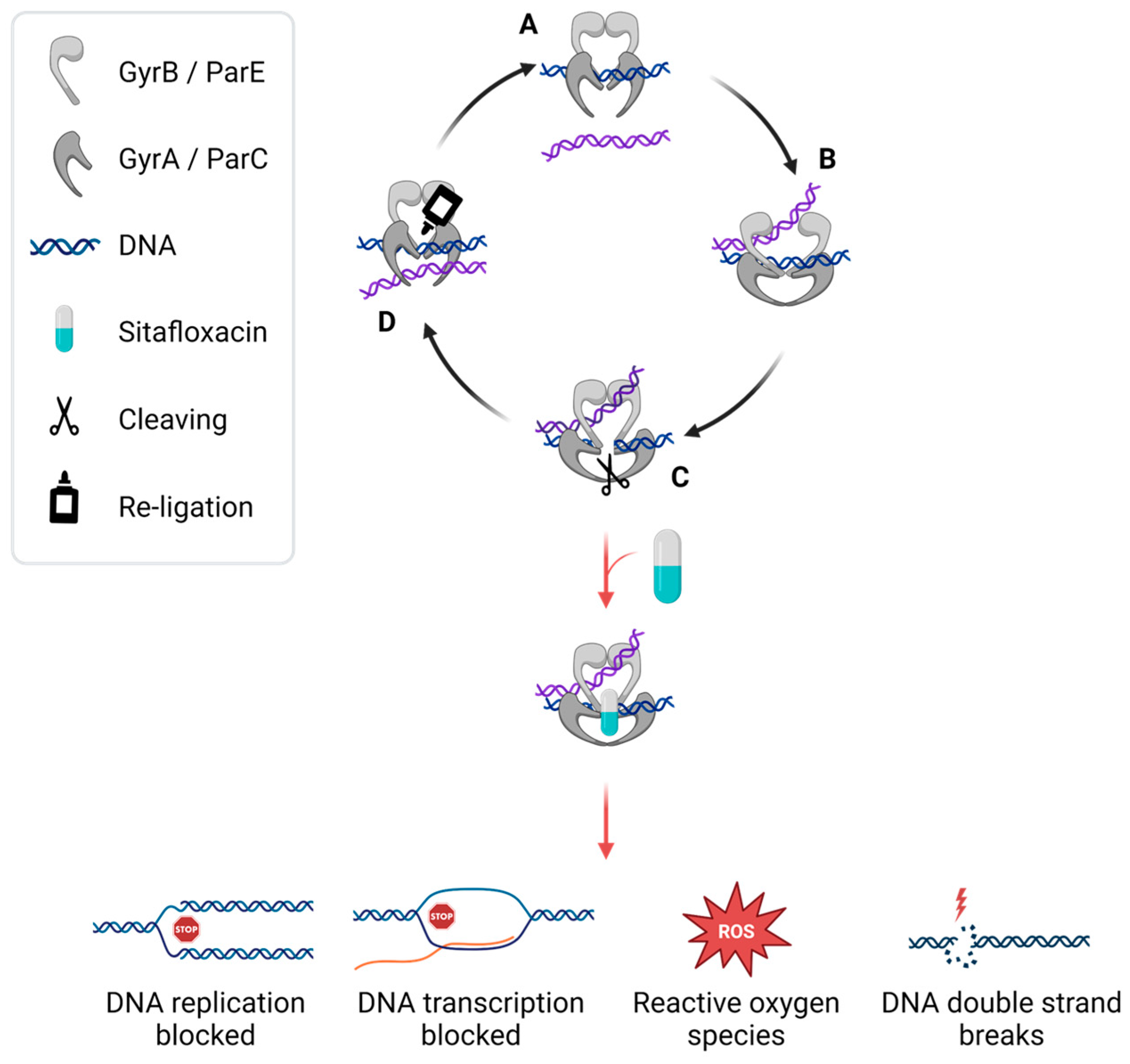 Pharmaceuticals 17 01537 g002