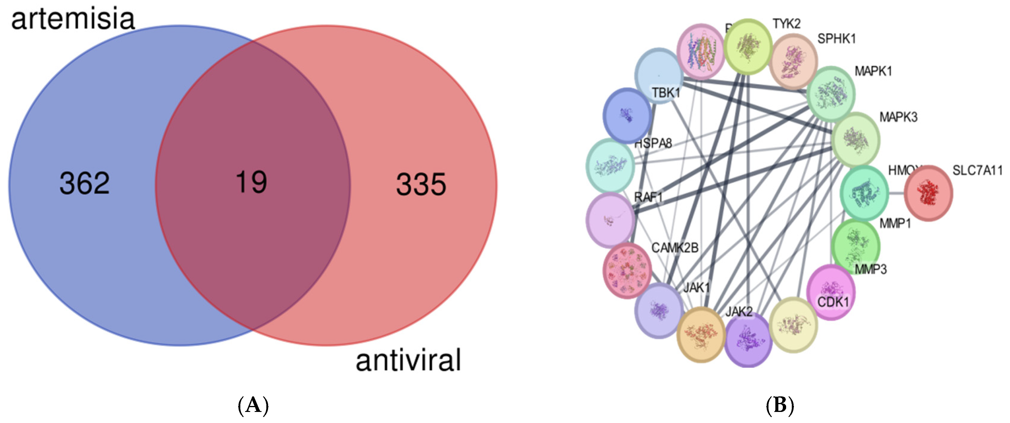 Pharmaceuticals 17 01539 g001
