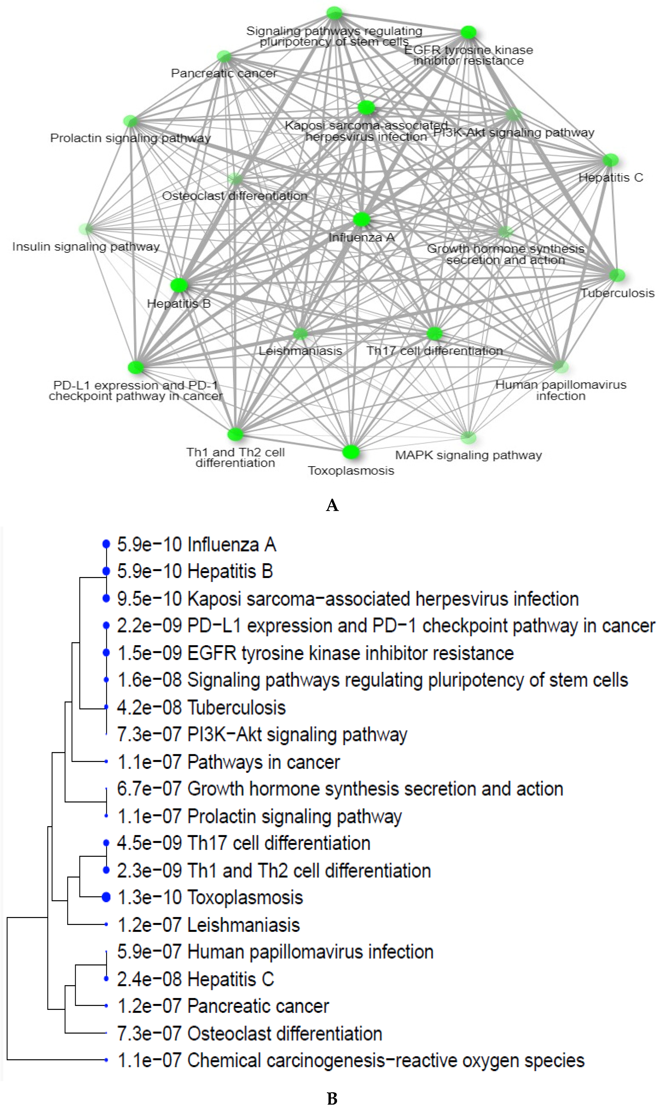 Pharmaceuticals 17 01539 g004a