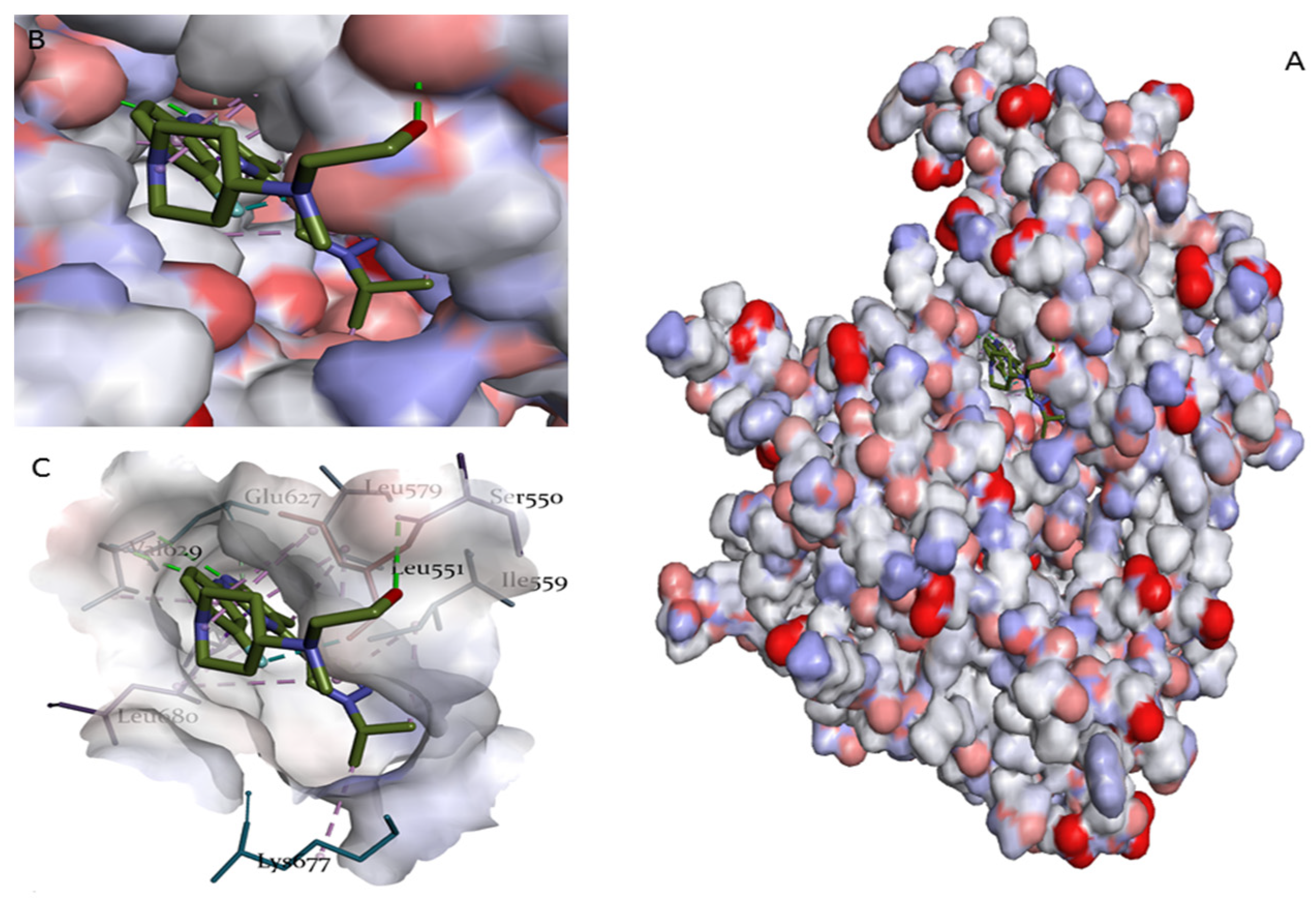 Pharmaceuticals 17 01539 g006