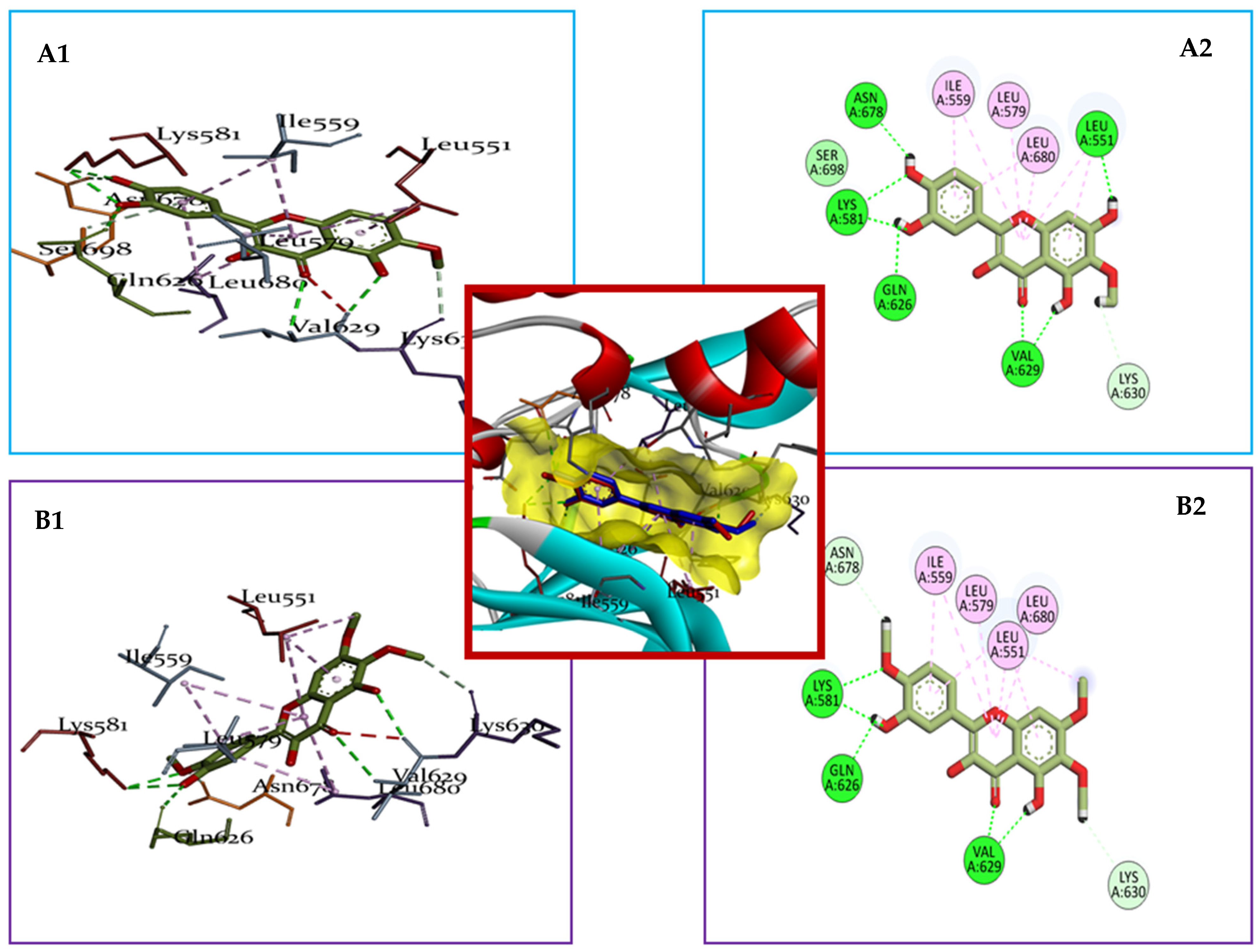 Pharmaceuticals 17 01539 g007
