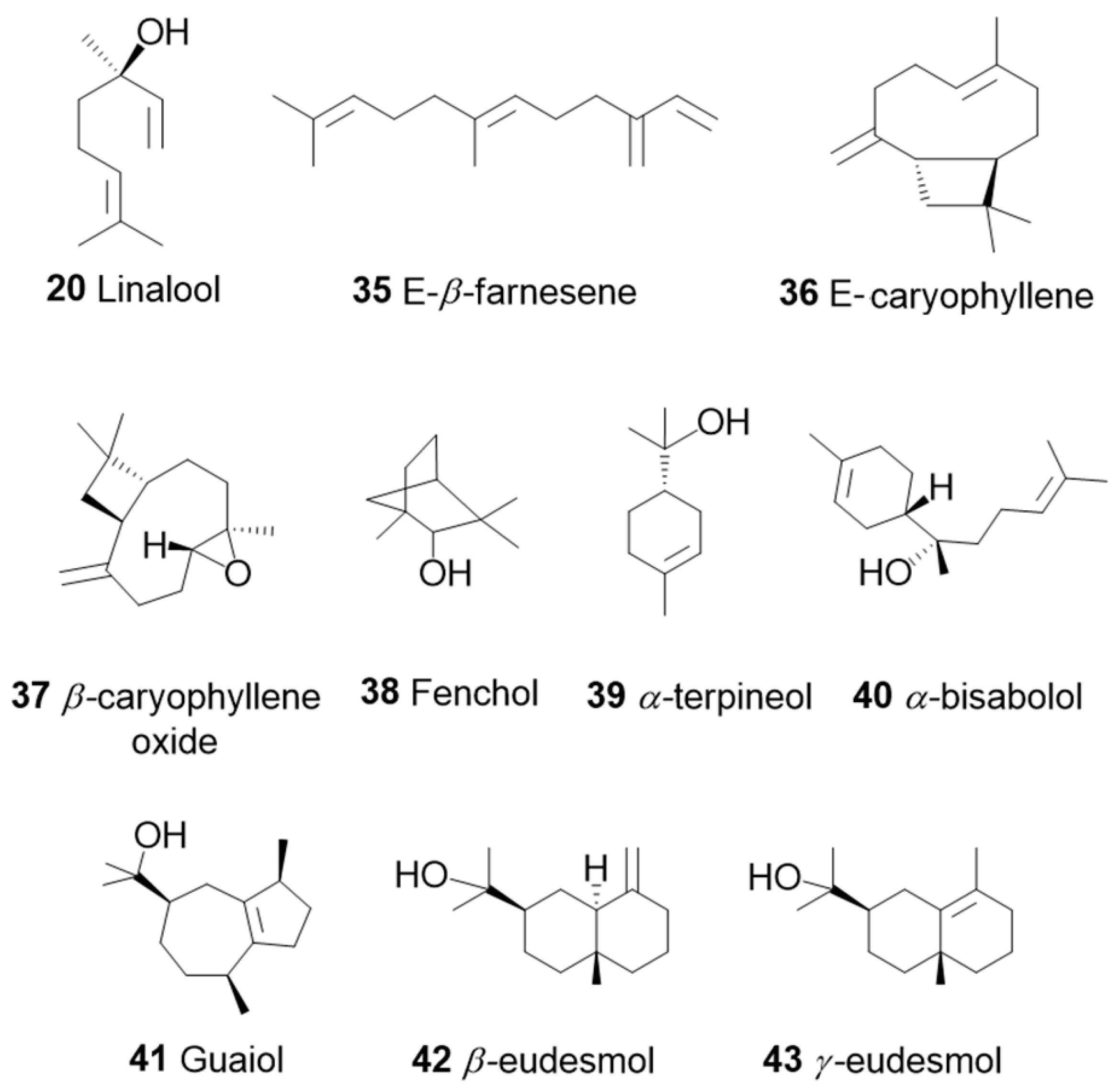 Pharmaceuticals 17 01543 g010 Pharmaceuticals 17 01543 g010
