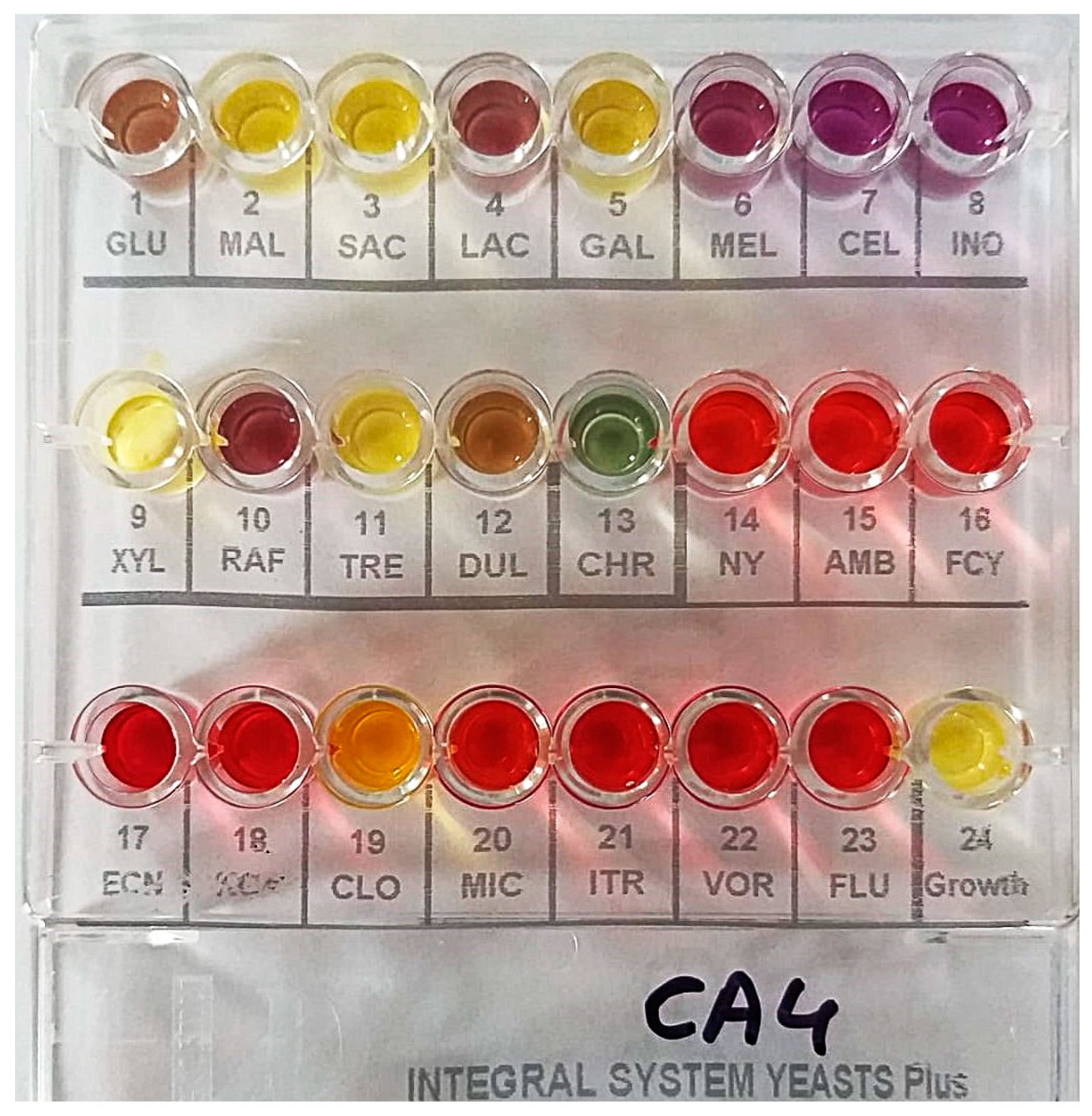 Pharmaceuticals 17 01544 g001