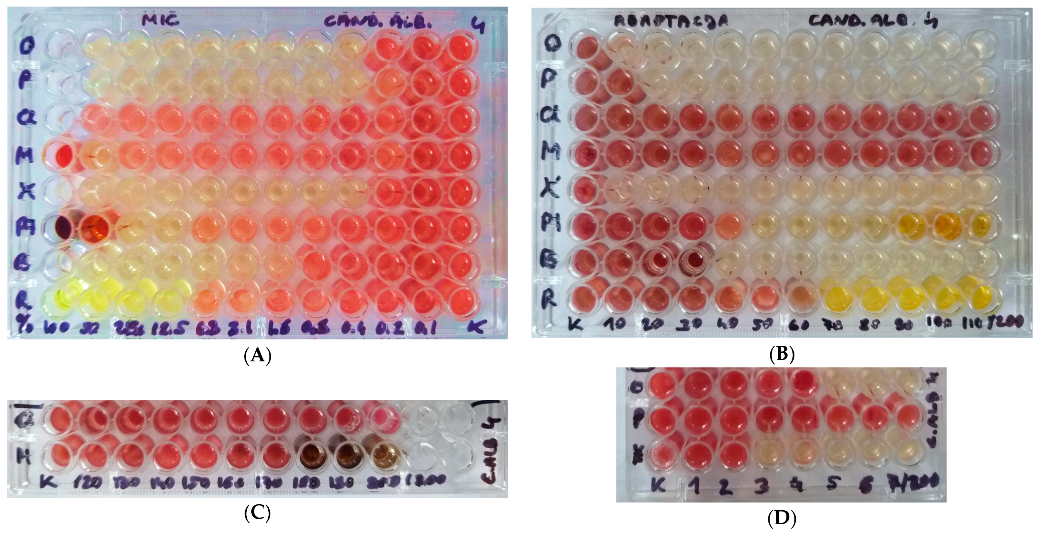 Pharmaceuticals 17 01544 g002