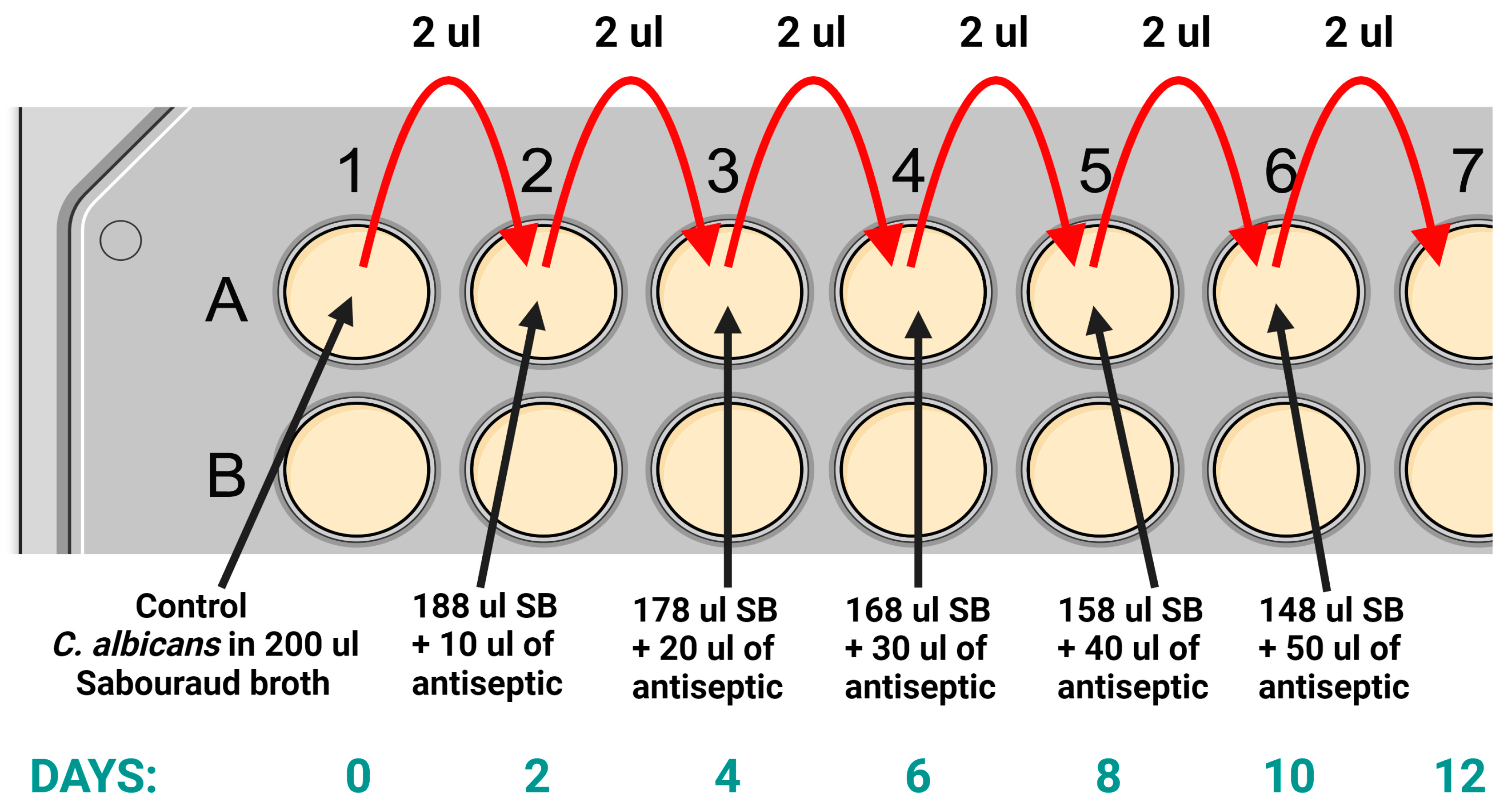 Pharmaceuticals 17 01544 g003
