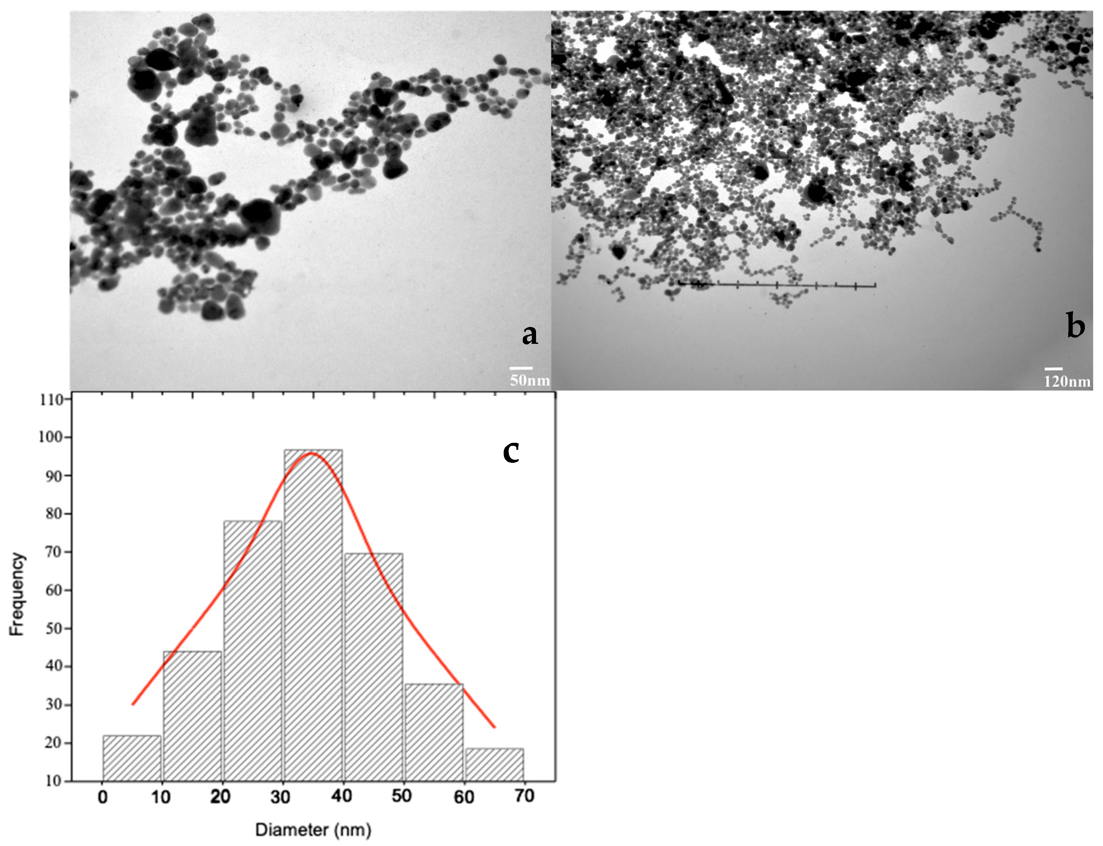 Pharmaceuticals 17 01546 g004