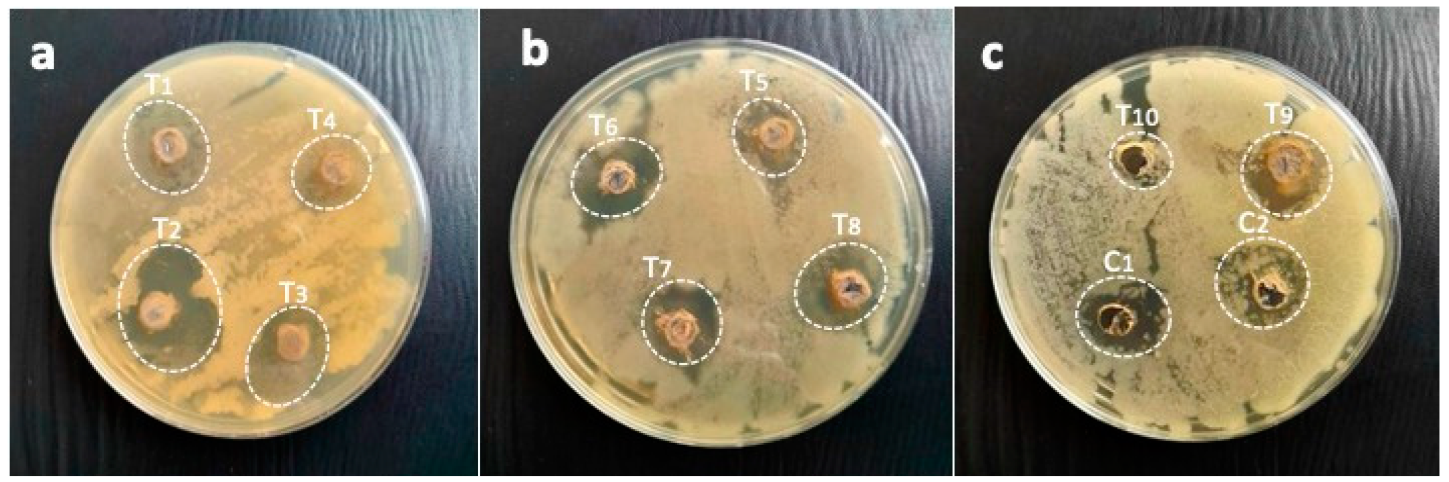 Pharmaceuticals 17 01546 g010
