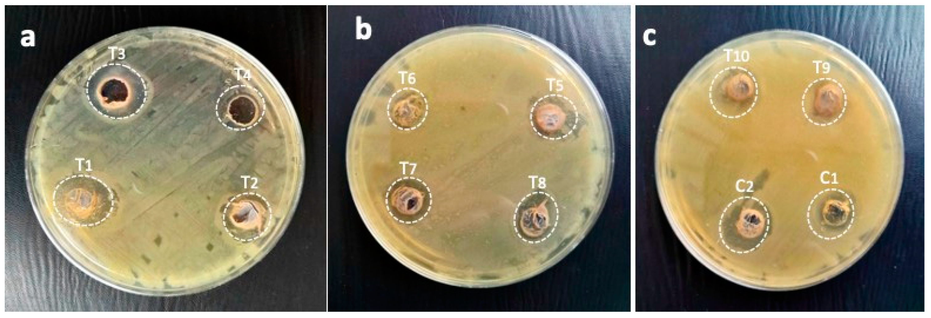 Pharmaceuticals 17 01546 g015