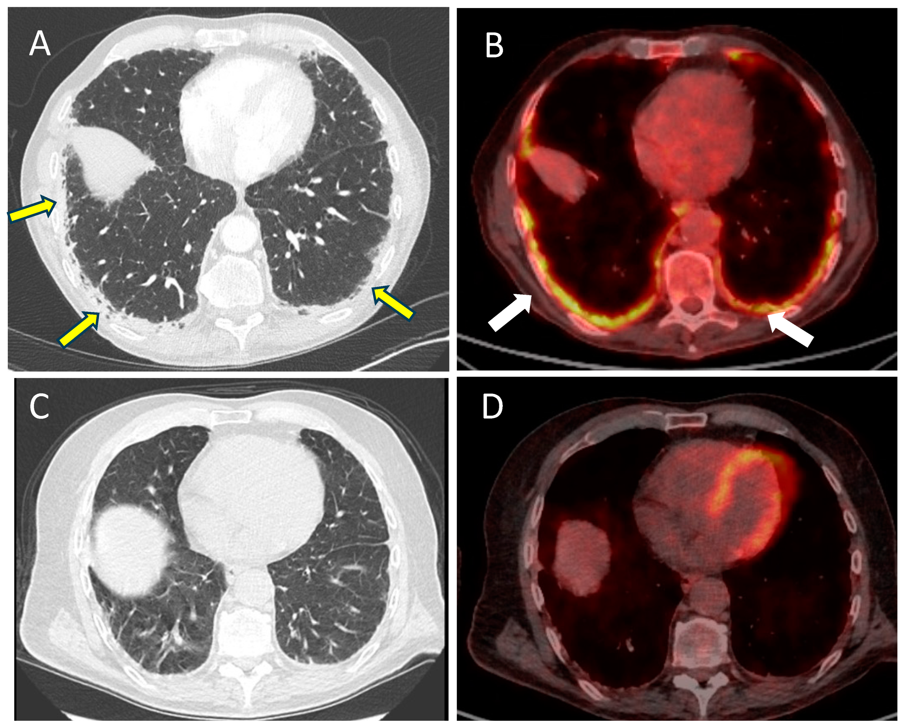Pharmaceuticals 17 01547 g001