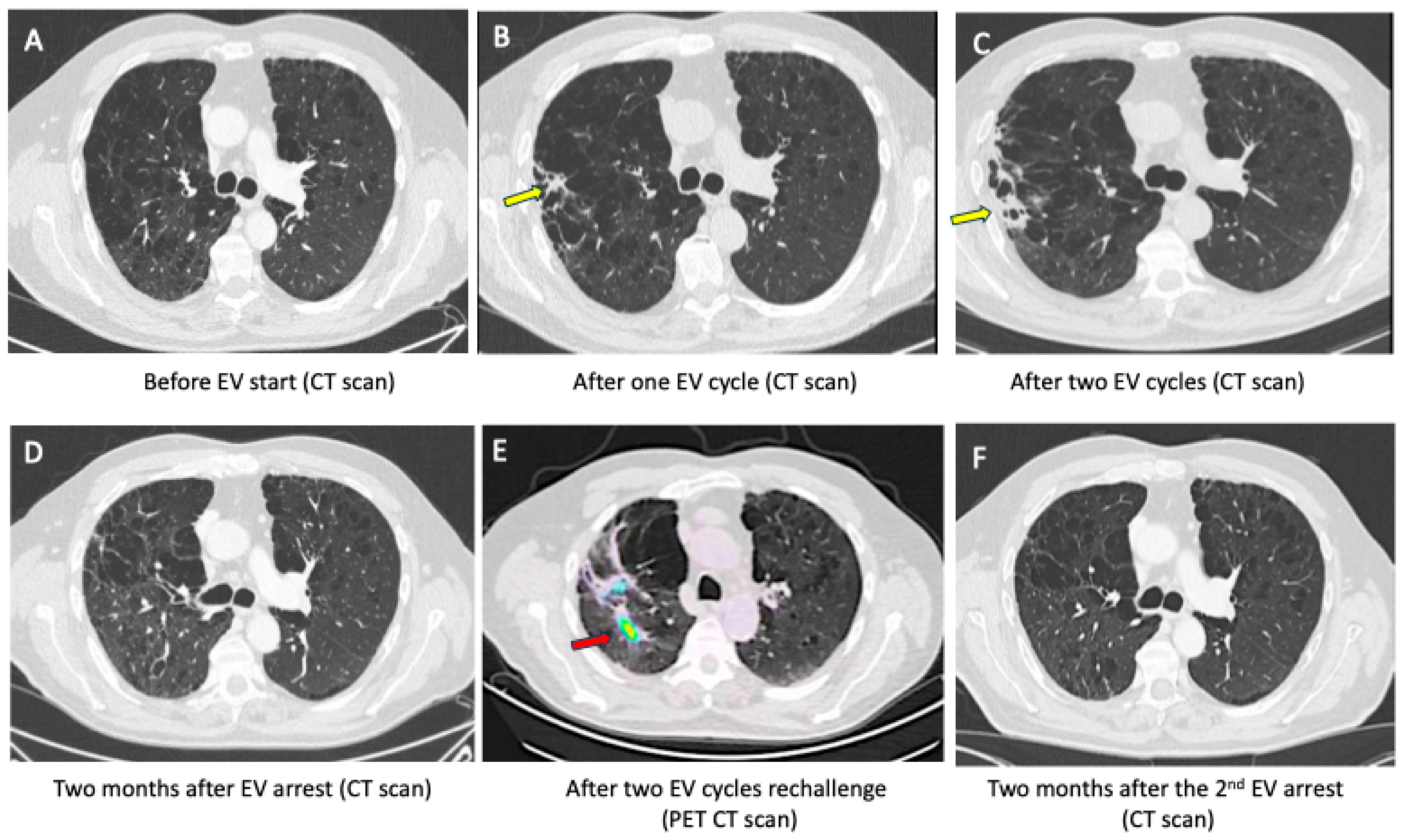 Pharmaceuticals 17 01547 g002