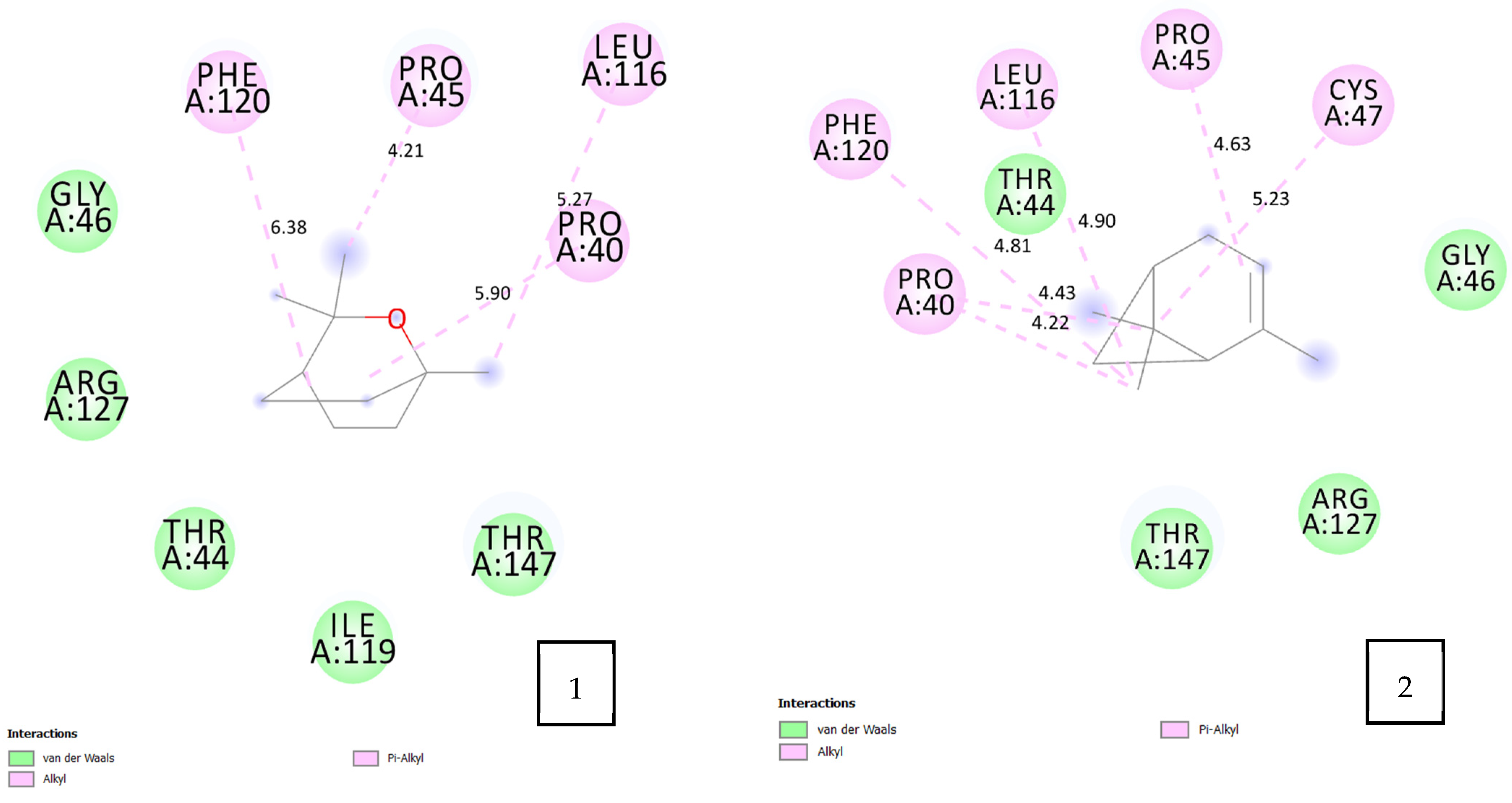 Pharmaceuticals 17 01552 g004a