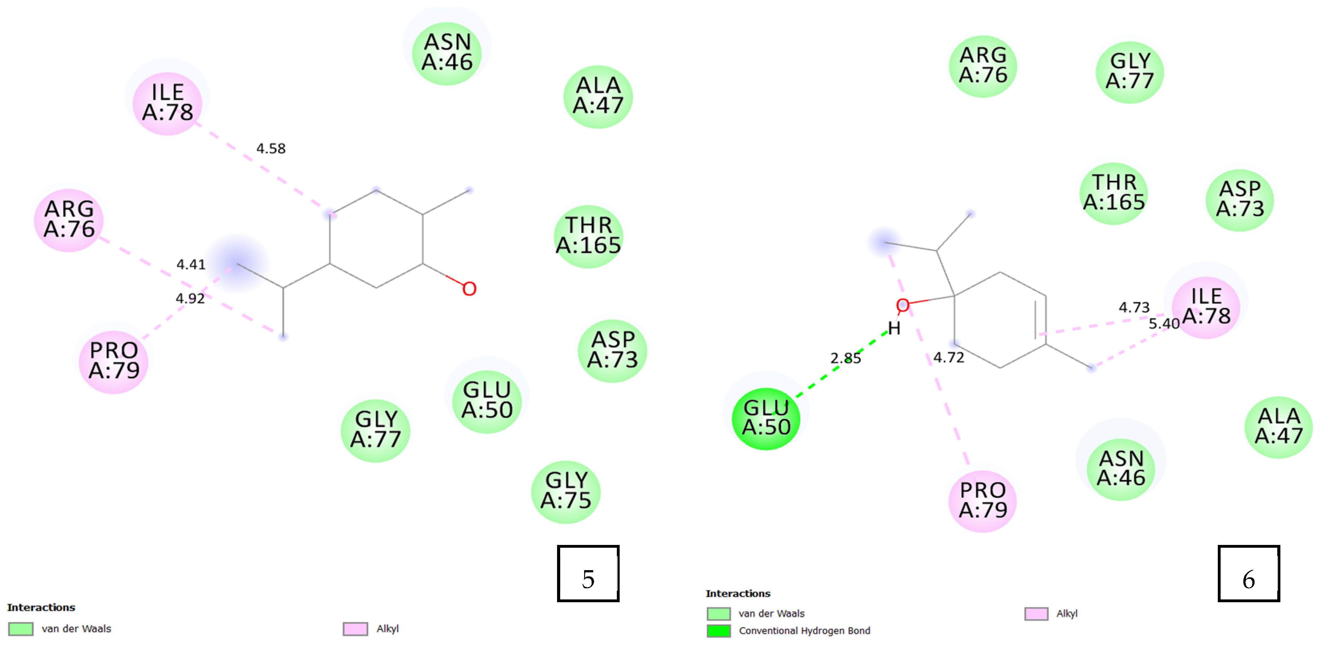 Pharmaceuticals 17 01552 g005b